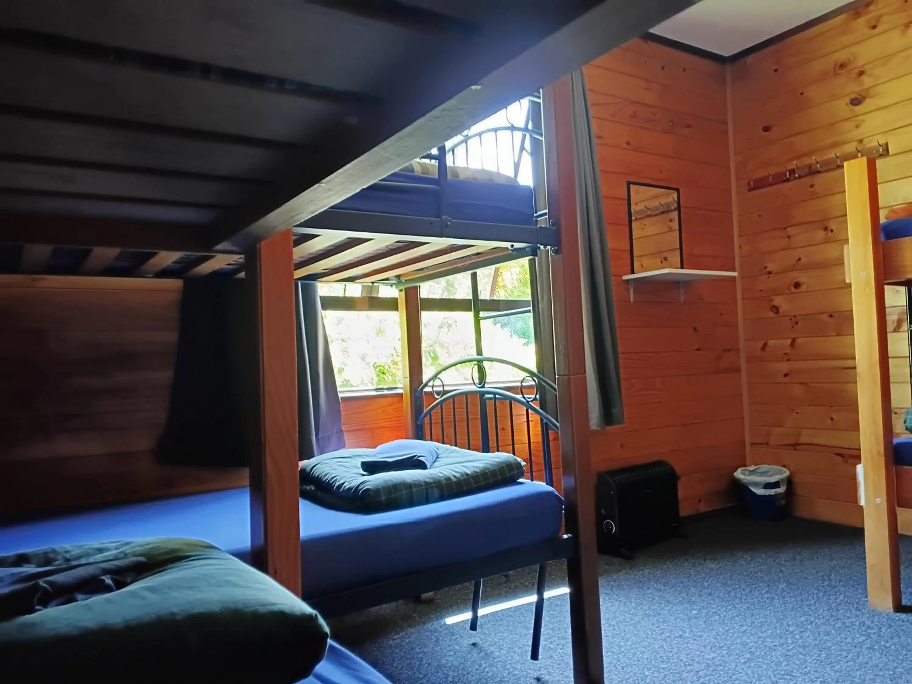 Photo of the whole room, Bed in JunoHall Backpackers