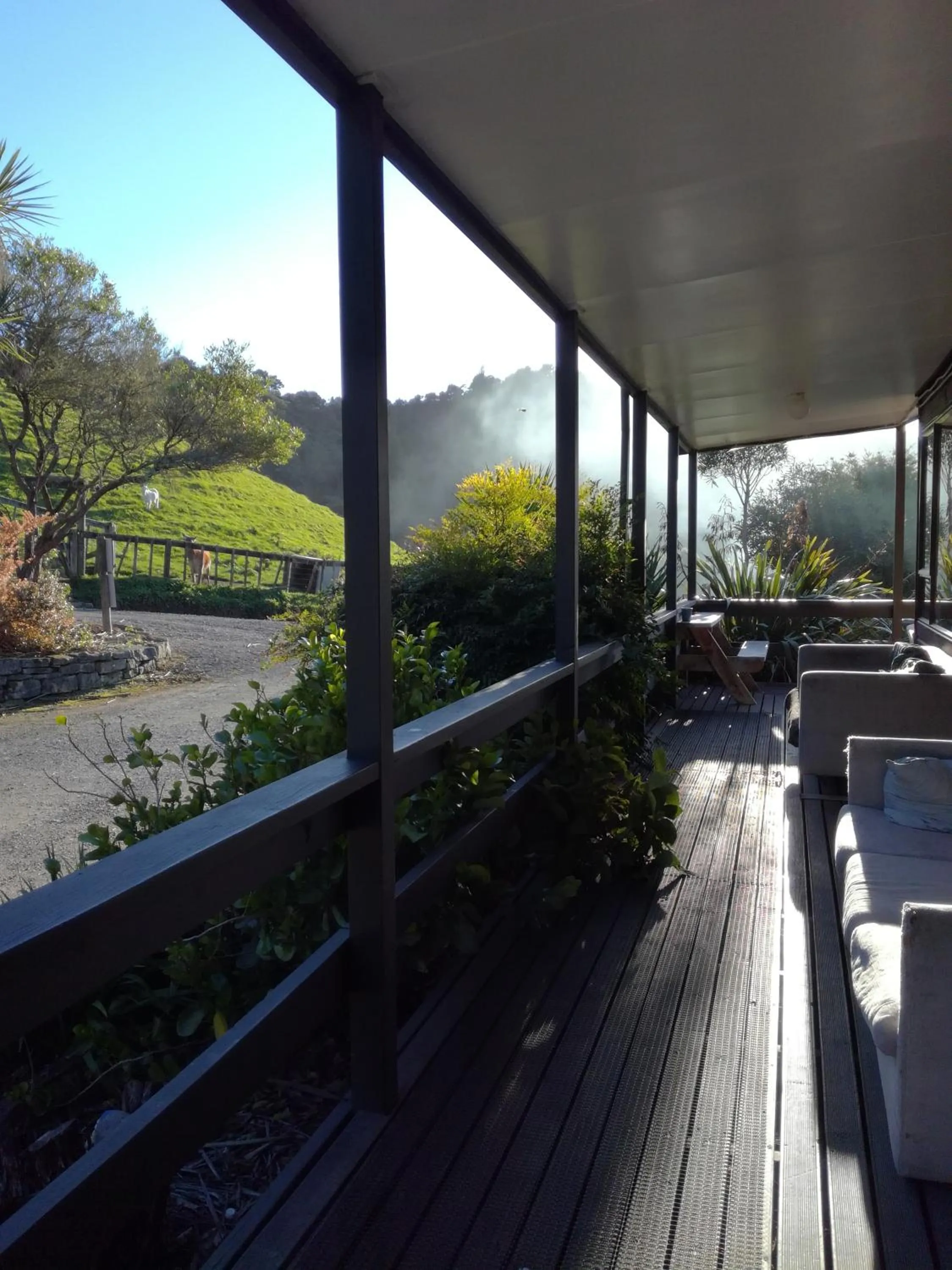 Garden in JunoHall Backpackers