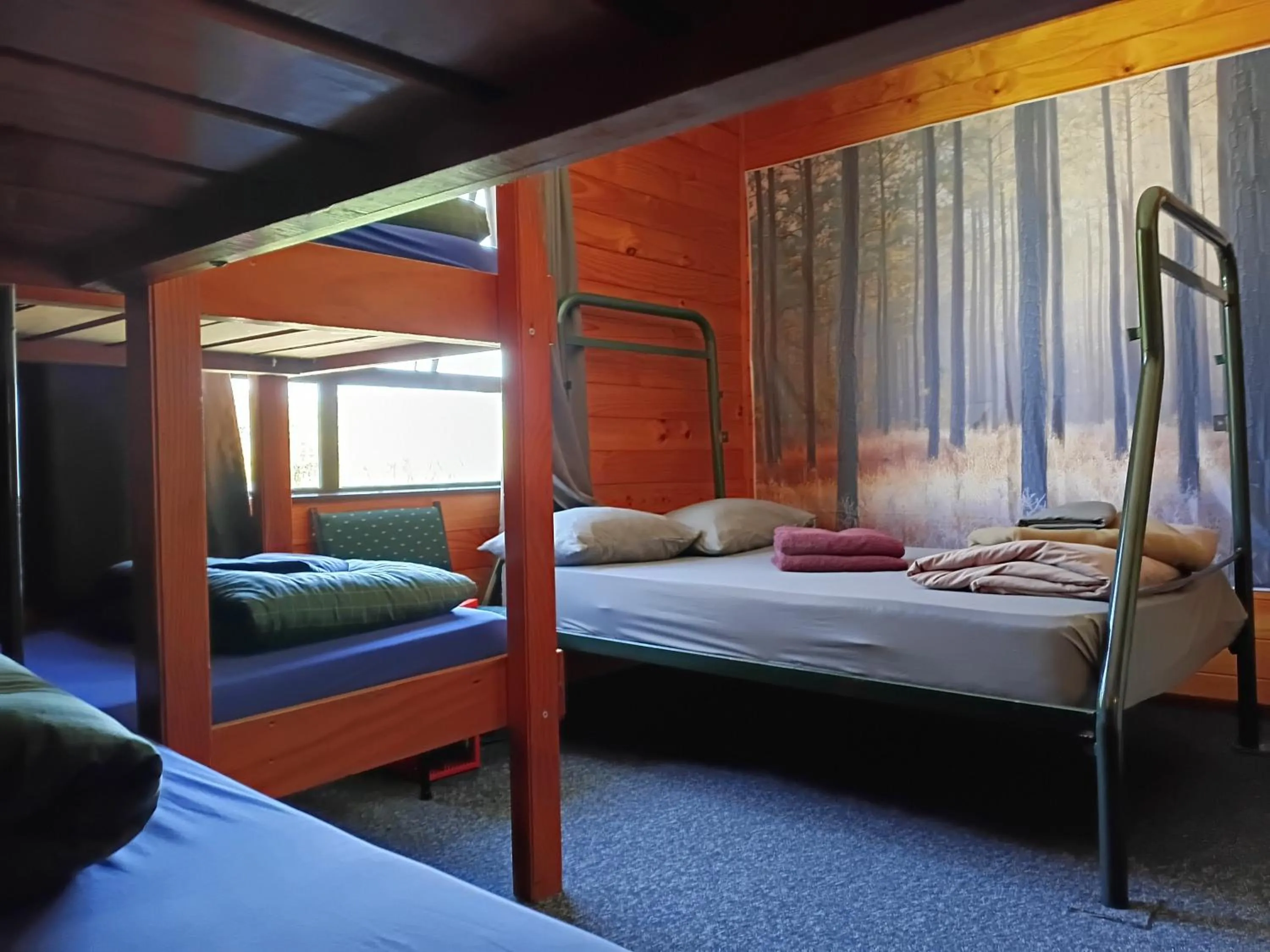 Bed in JunoHall Backpackers