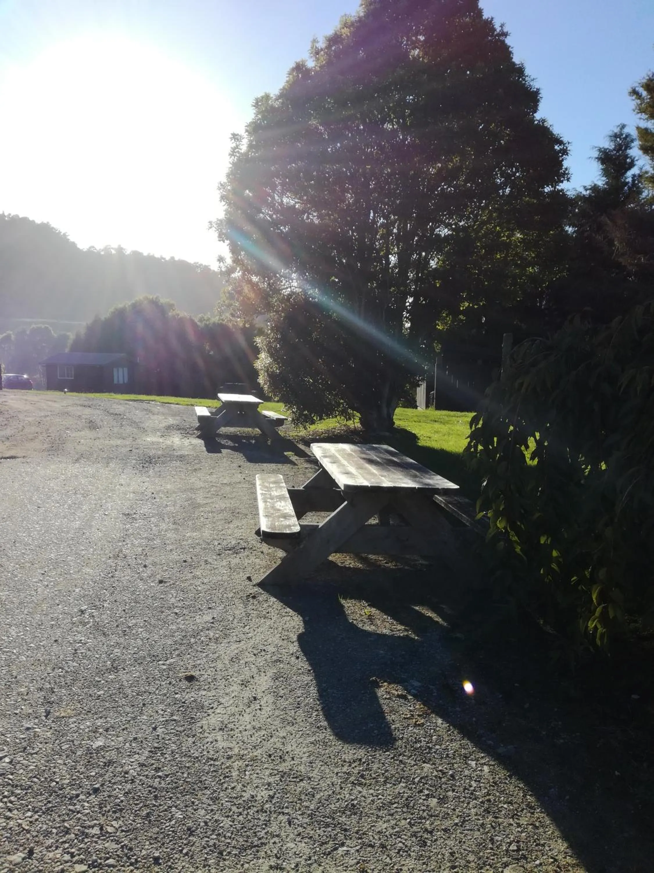 Area and facilities in JunoHall Backpackers