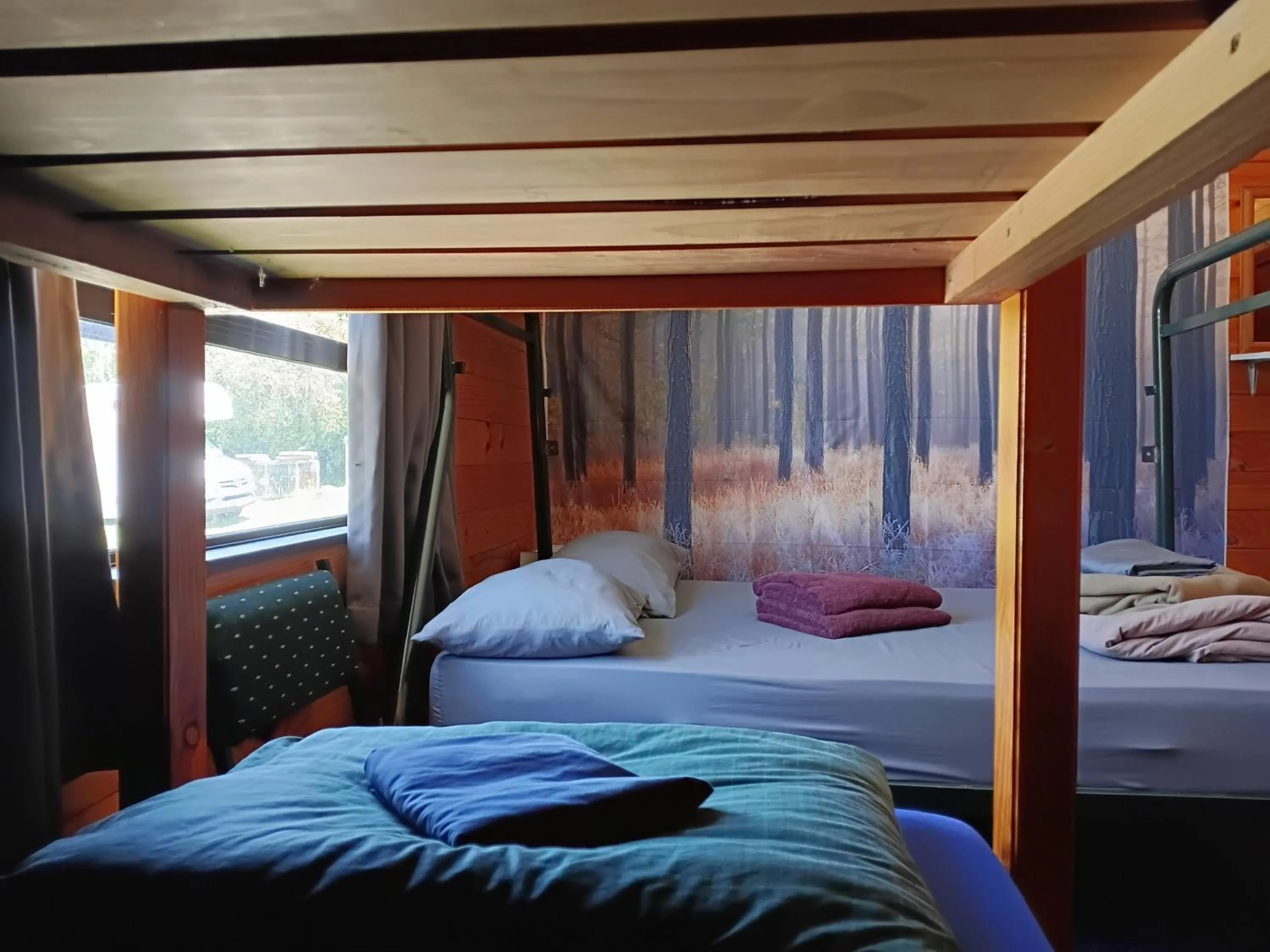 Bed in JunoHall Backpackers