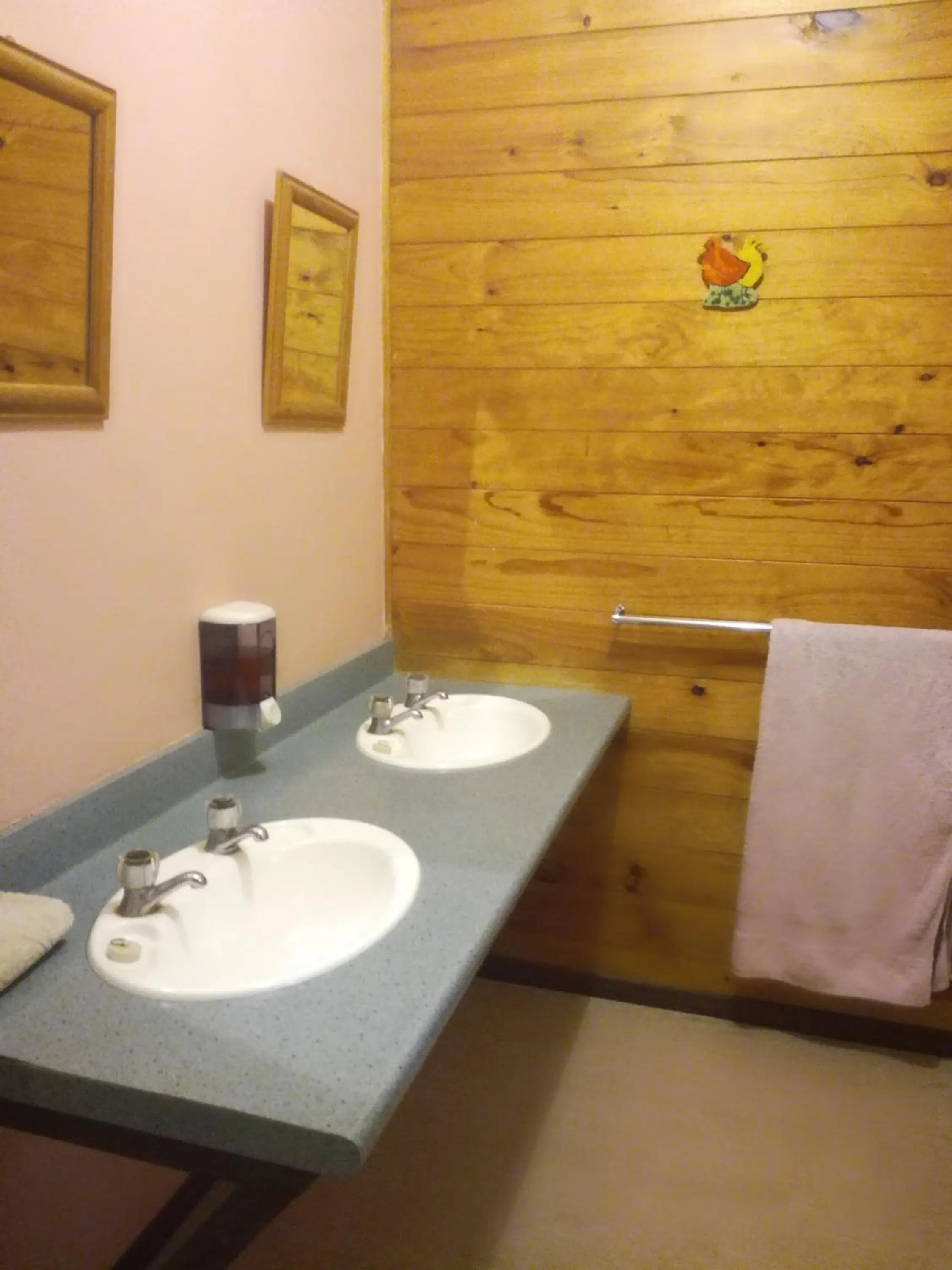 Bathroom in JunoHall Backpackers