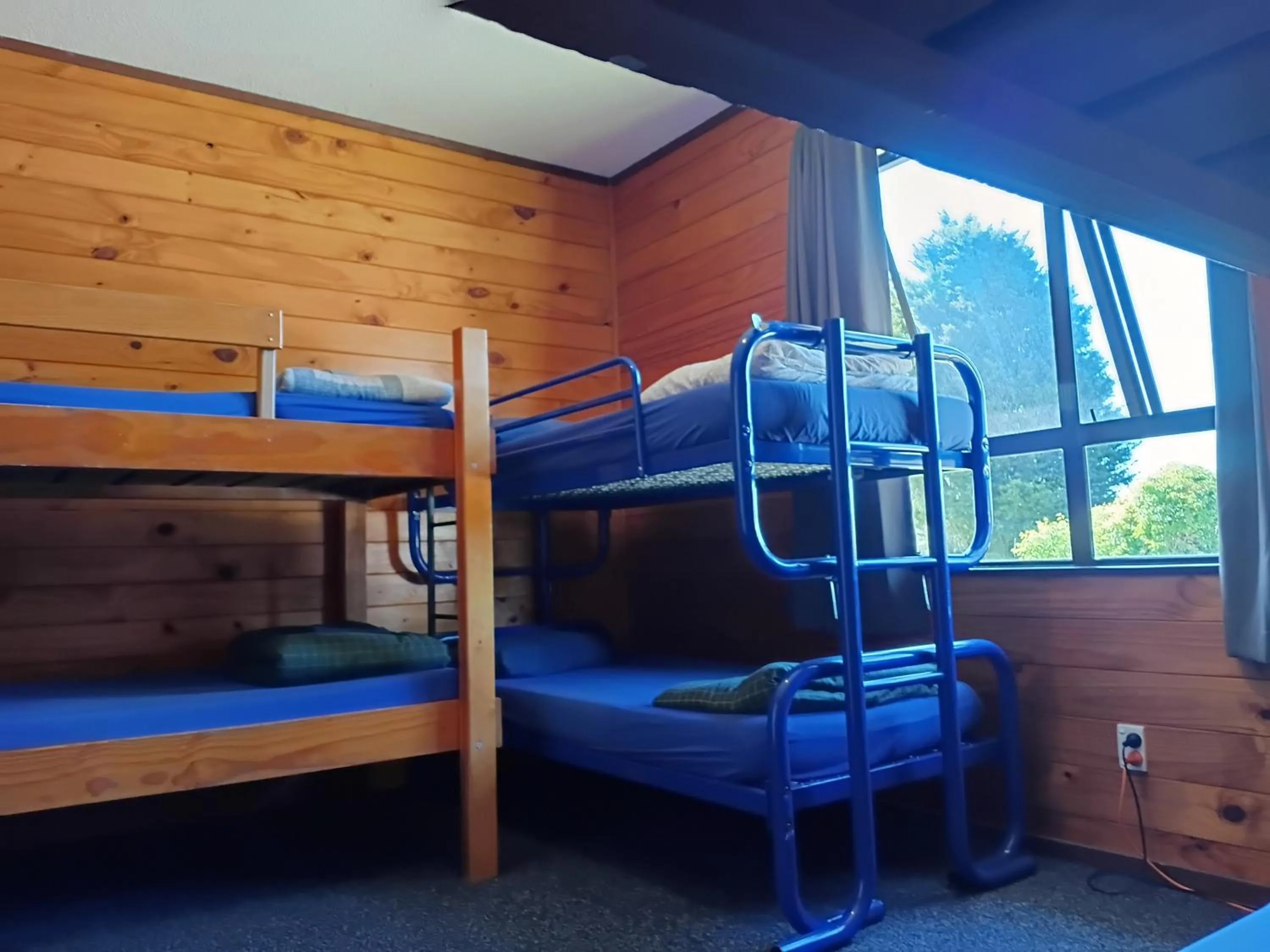 Photo of the whole room, Bed in JunoHall Backpackers