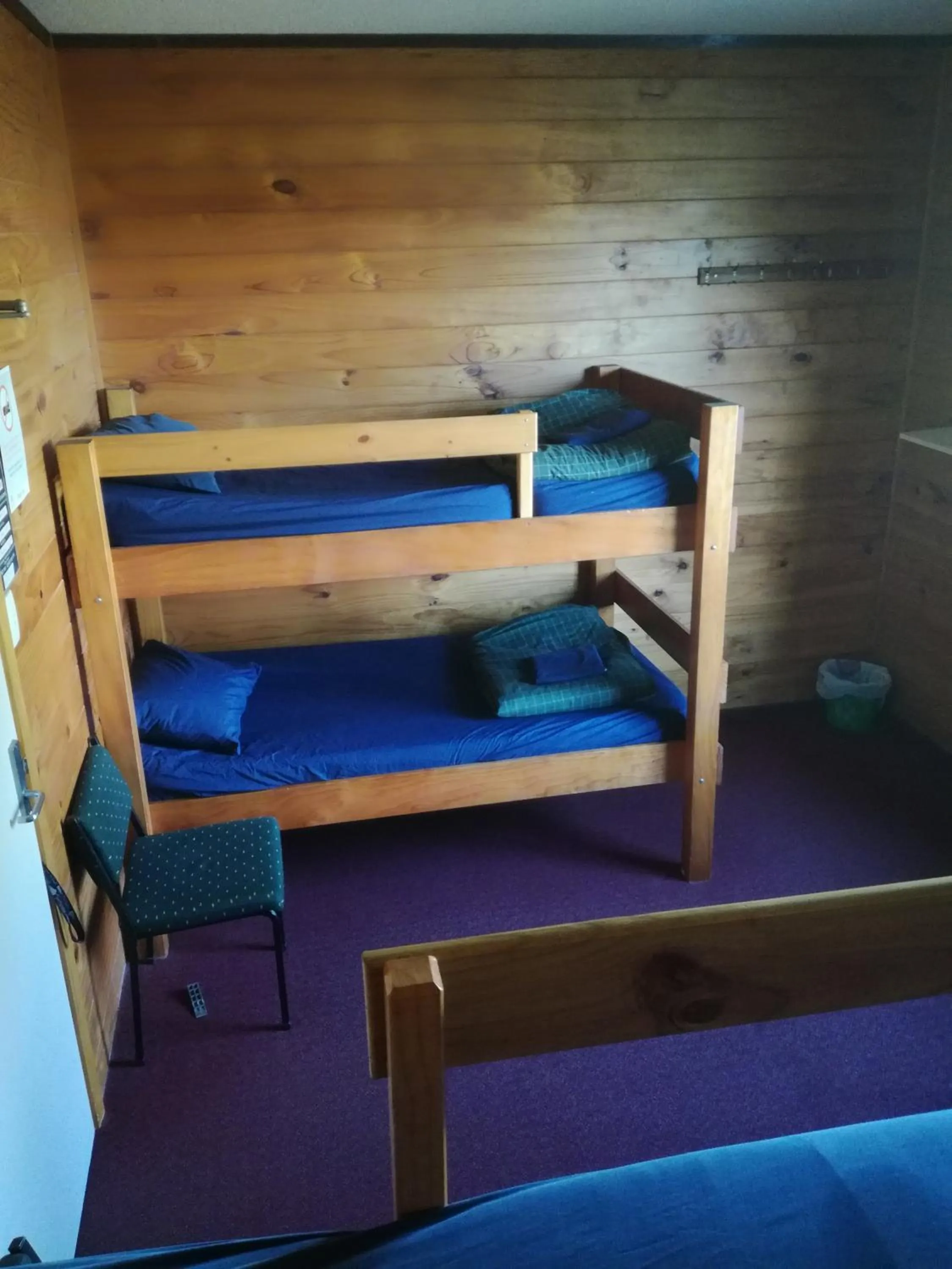 bunk bed, Bed in JunoHall Backpackers