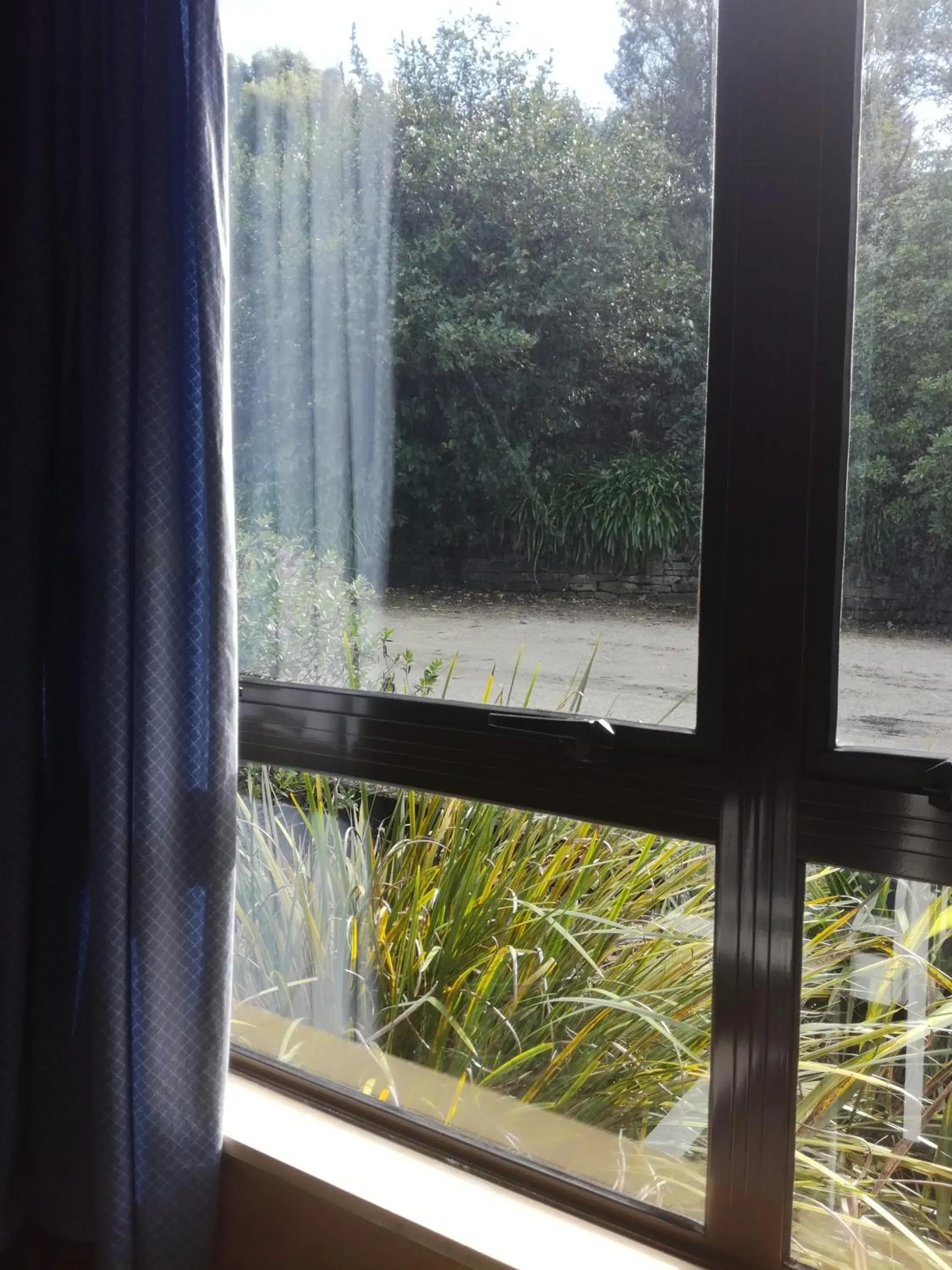 Garden view in JunoHall Backpackers Garden view in JunoHall Backpackers