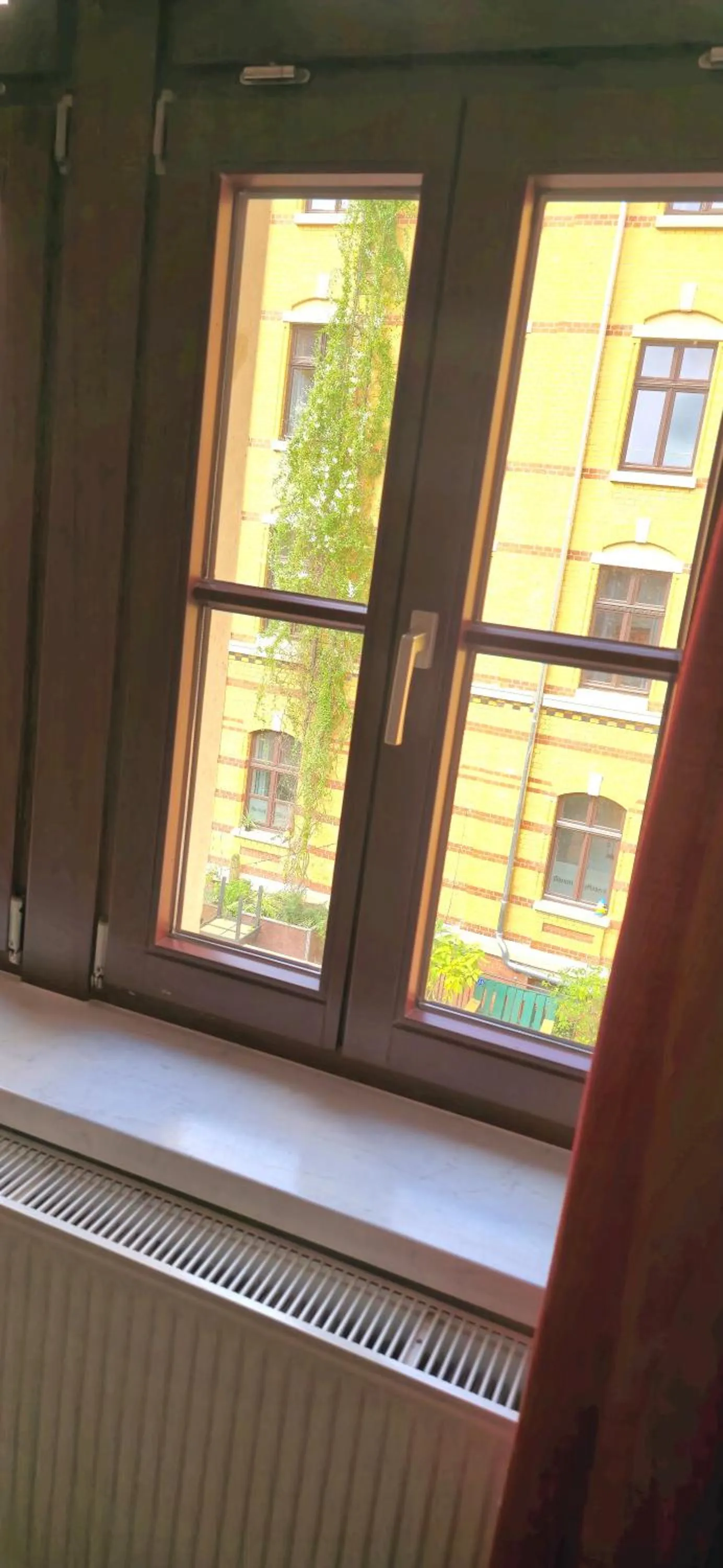 View (from property/room) in Gwuni Mopera