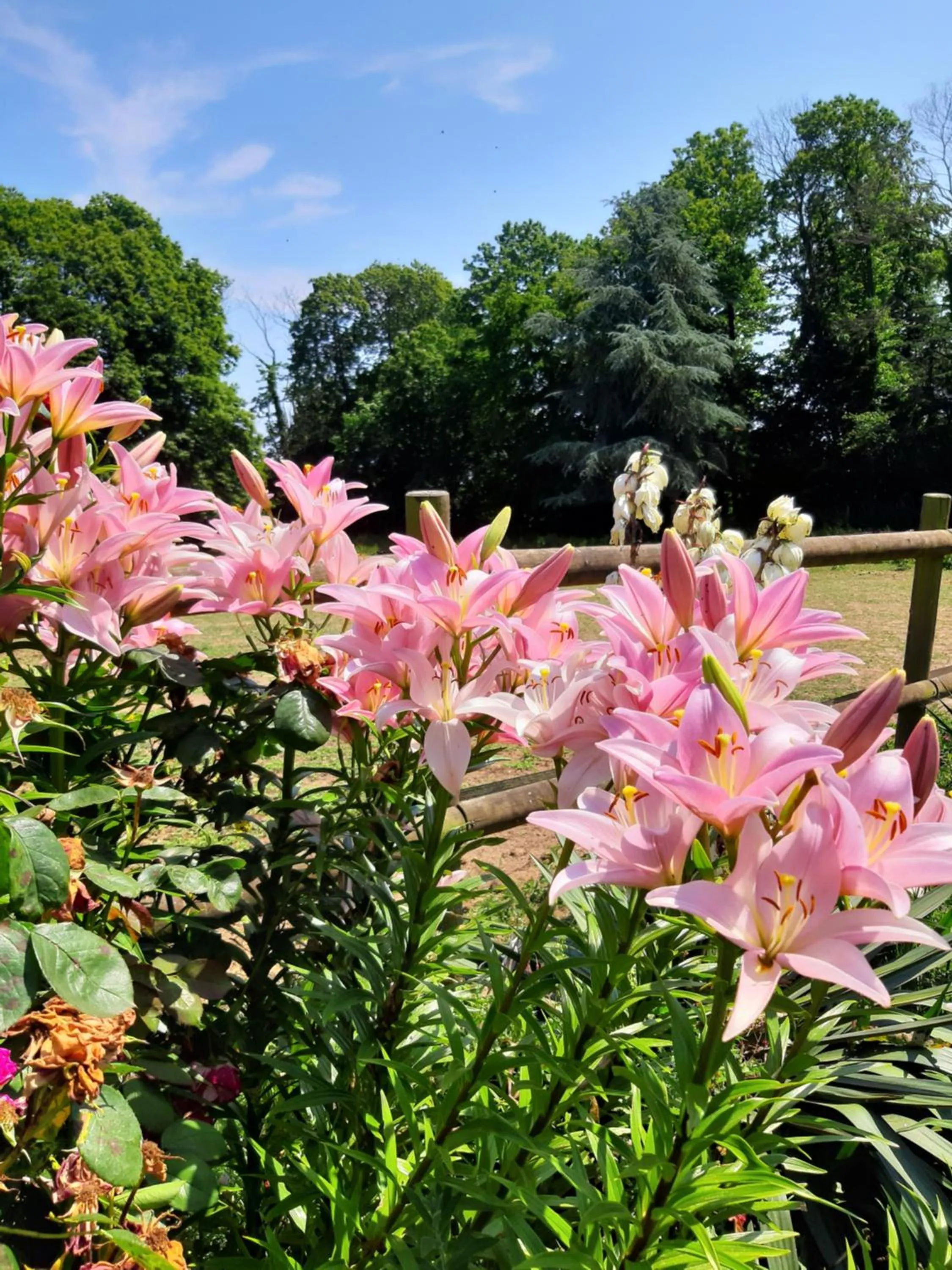 Spring in Manoir de la Peignie