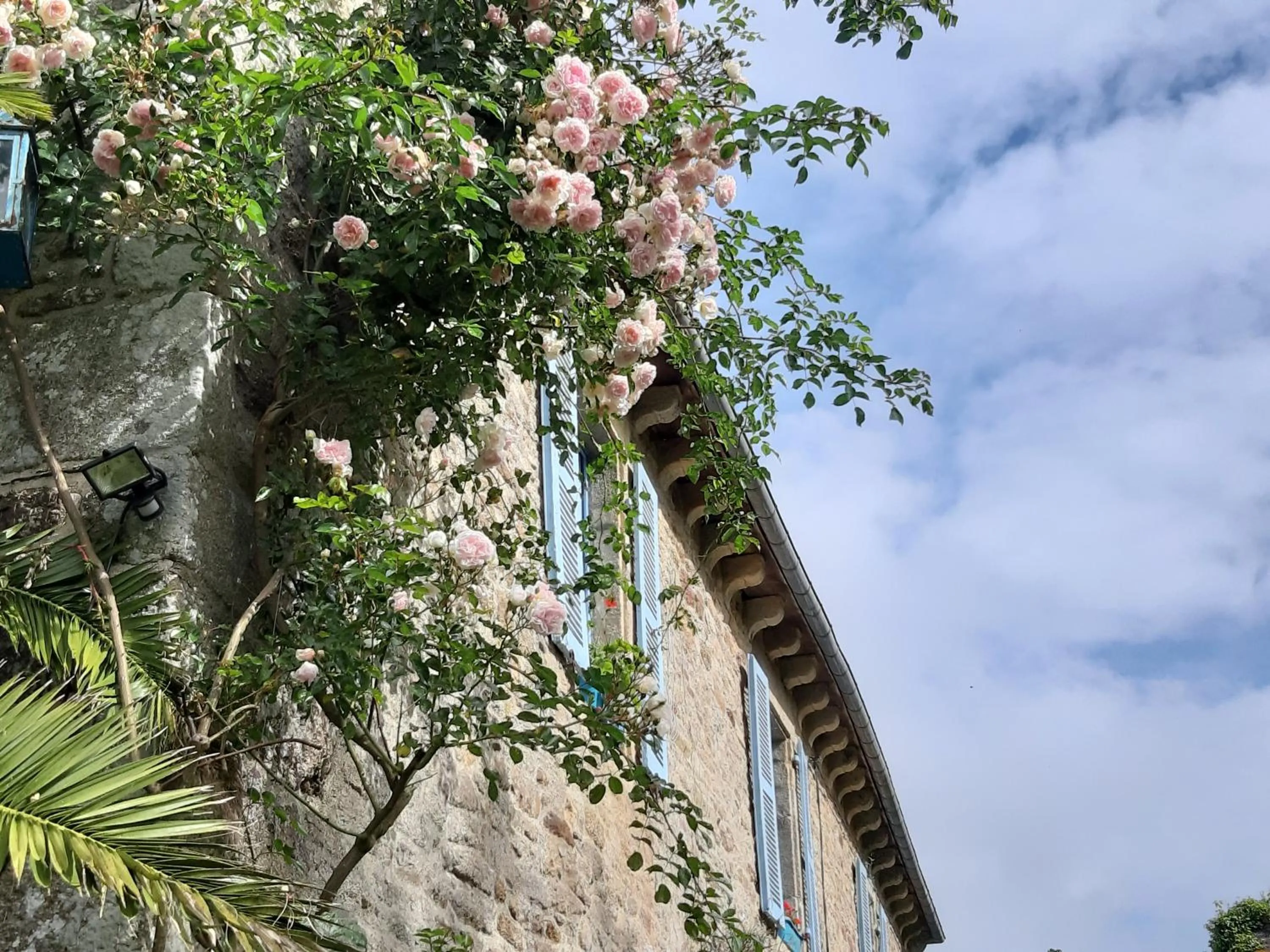 Property building in Manoir de la Peignie