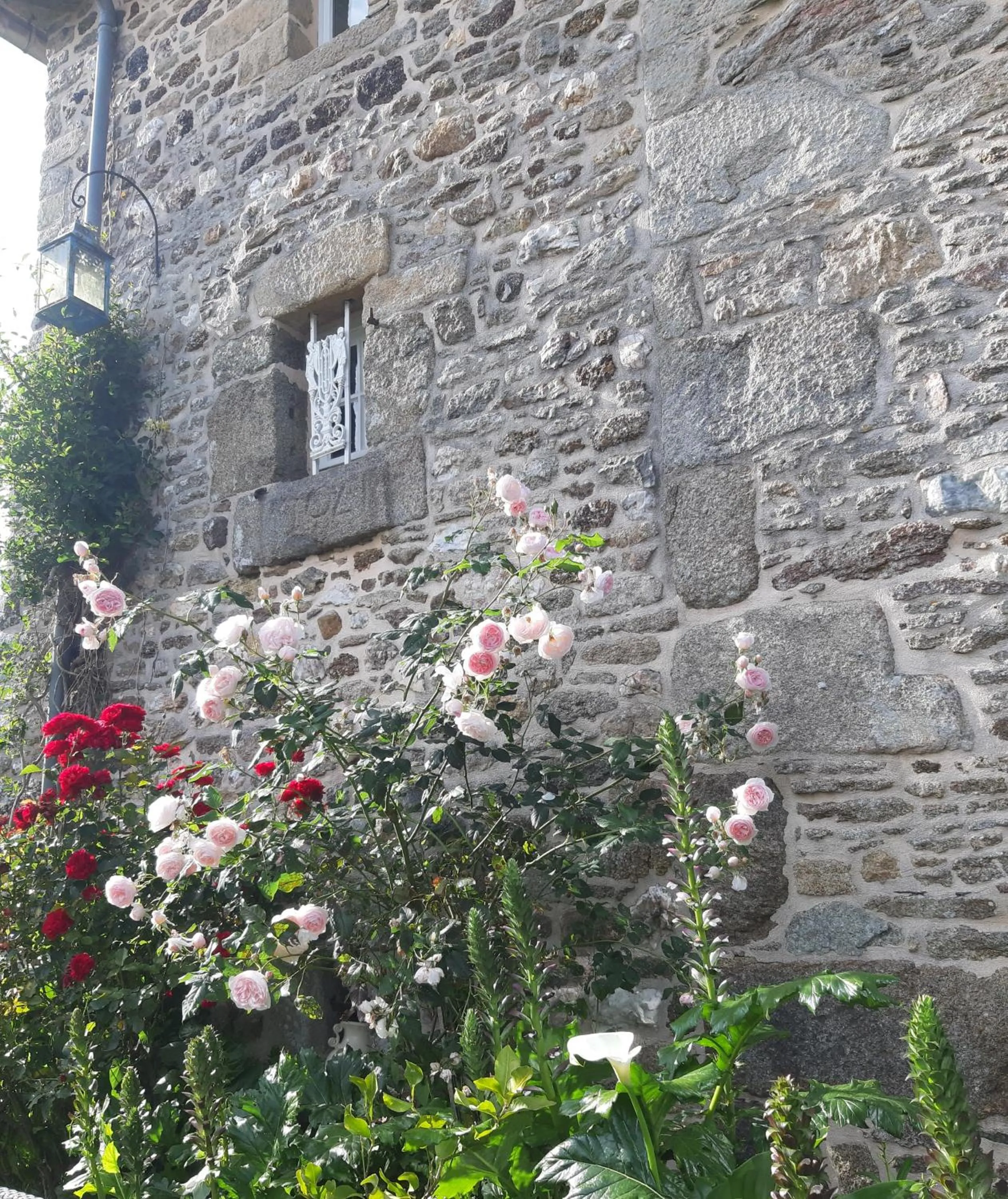 Garden in Manoir de la Peignie