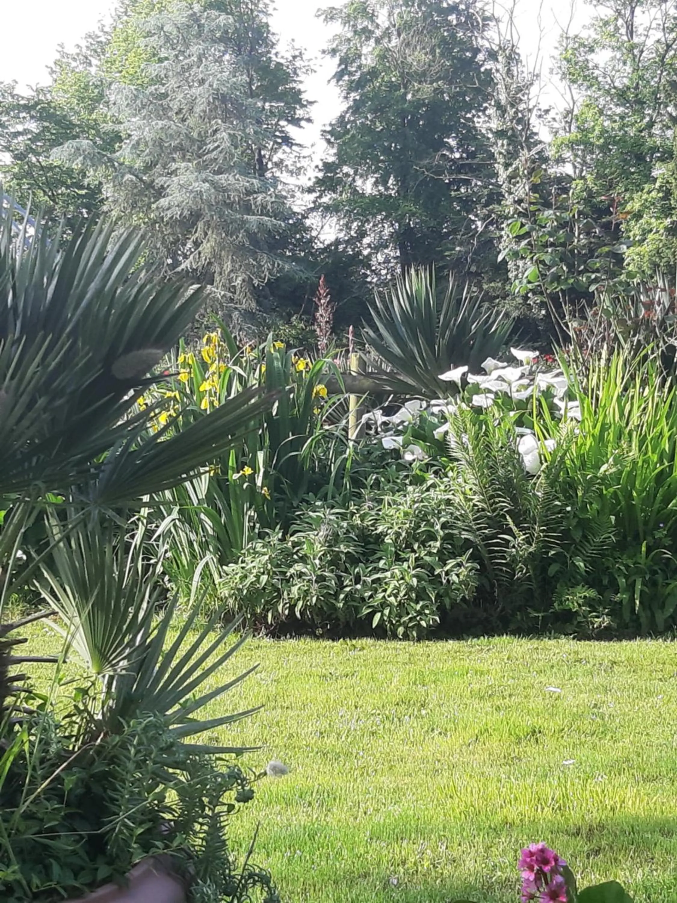 Natural landscape in Manoir de la Peignie