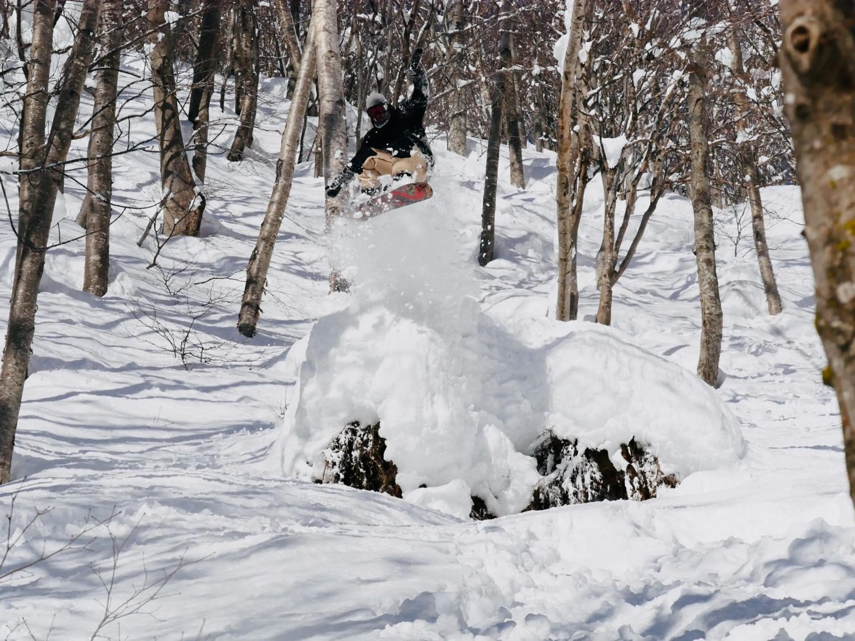 Natural landscape in Madarao Mountain Lodge