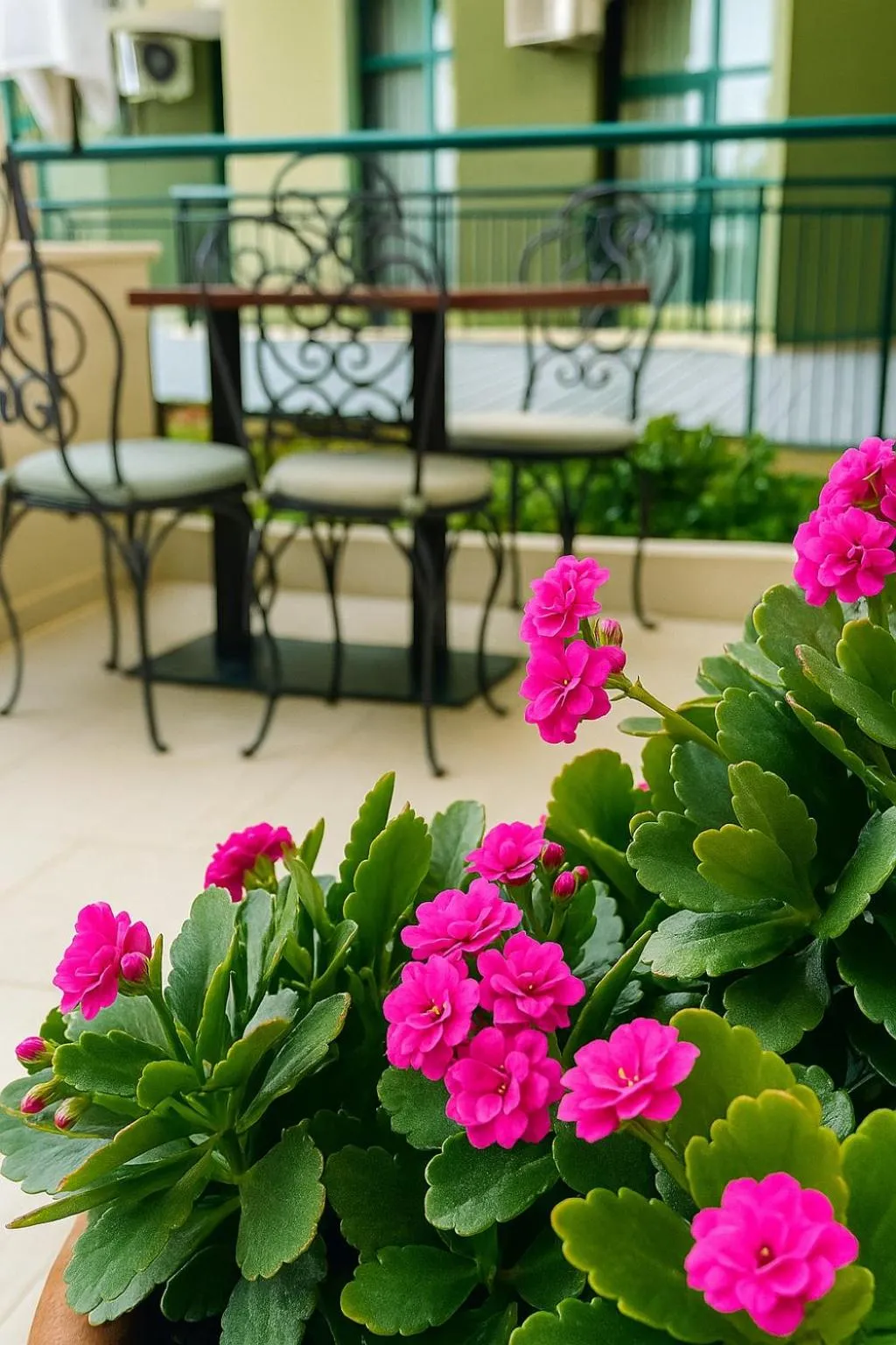 Balcony/Terrace in Palm Beach Hotel - All Inclusive with Free beach package & Private Beach