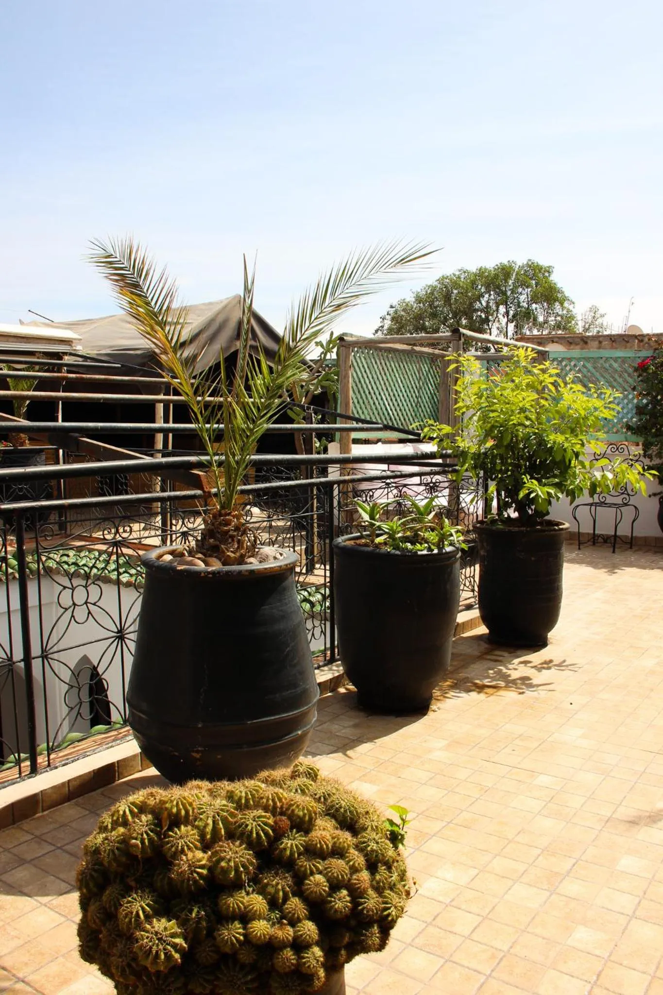 Balcony/Terrace in Riad Al Tainam