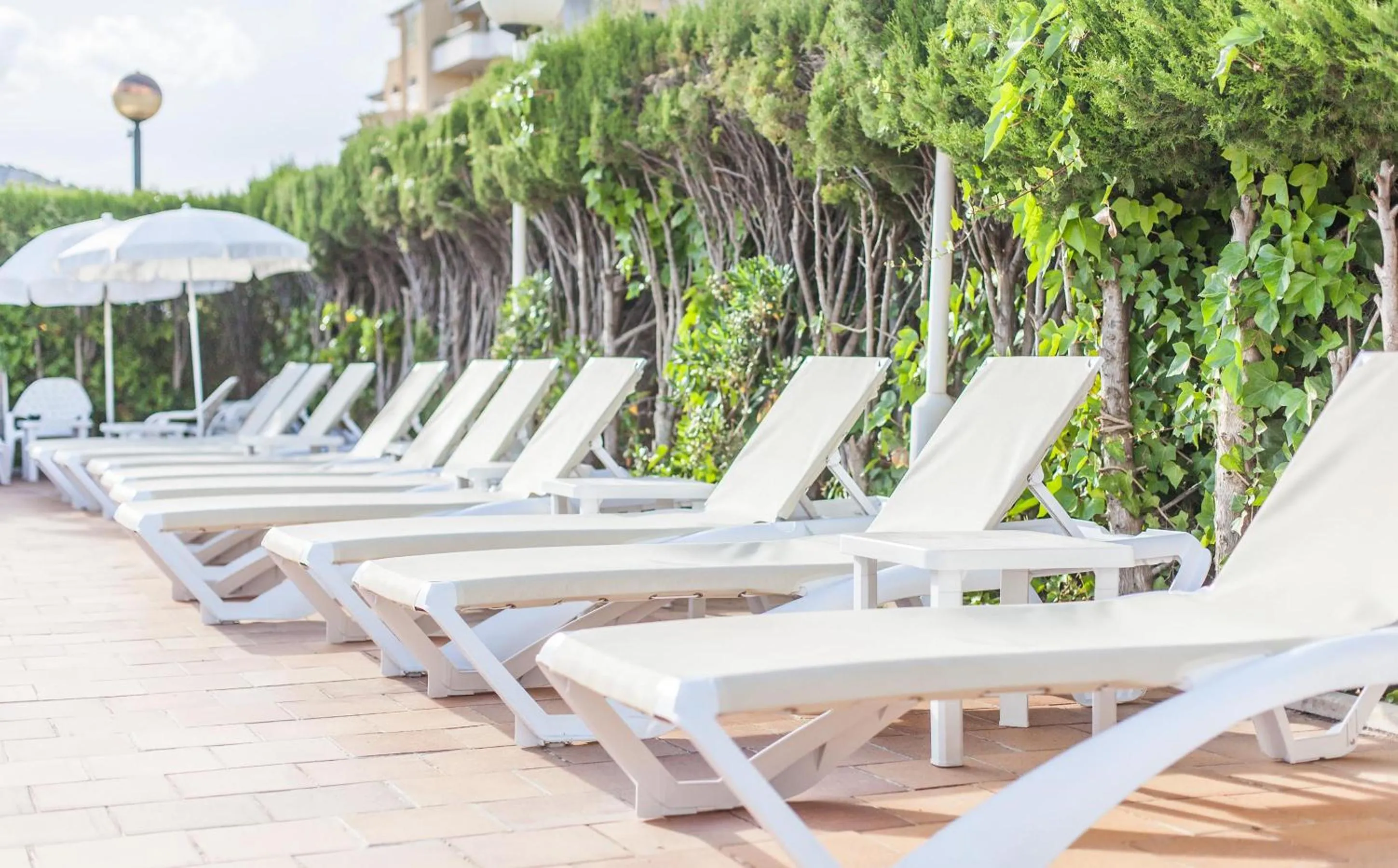 Balcony/Terrace in BLUESEA Cala Millor