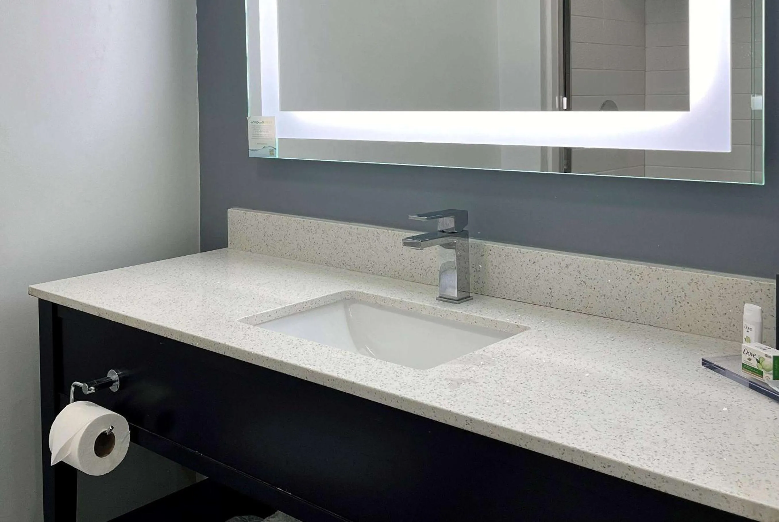 Bathroom in Wingate by Wyndham Airport - Rockville Road
