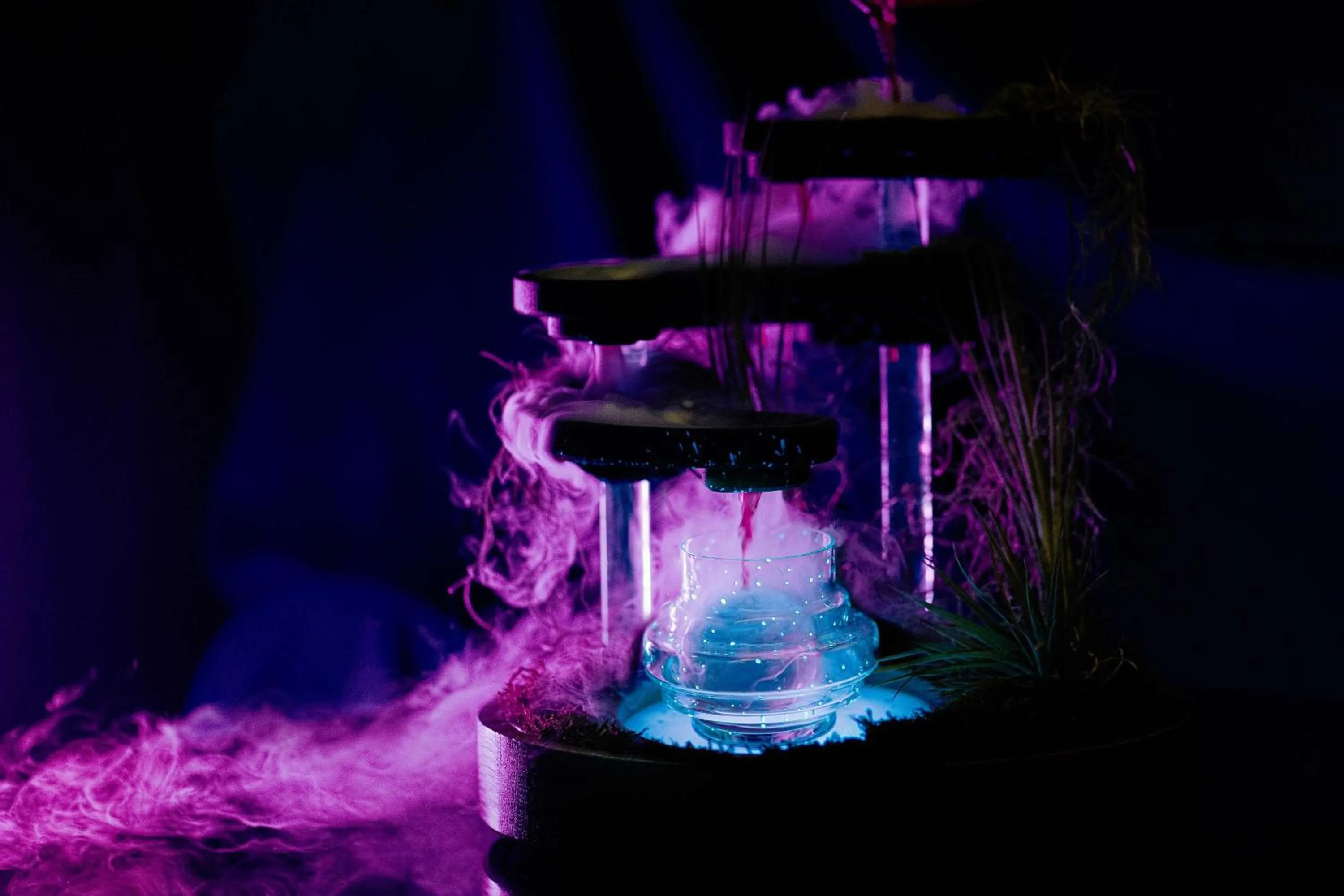 Food and drinks in Radisson Blu Carlton Hotel, Bratislava