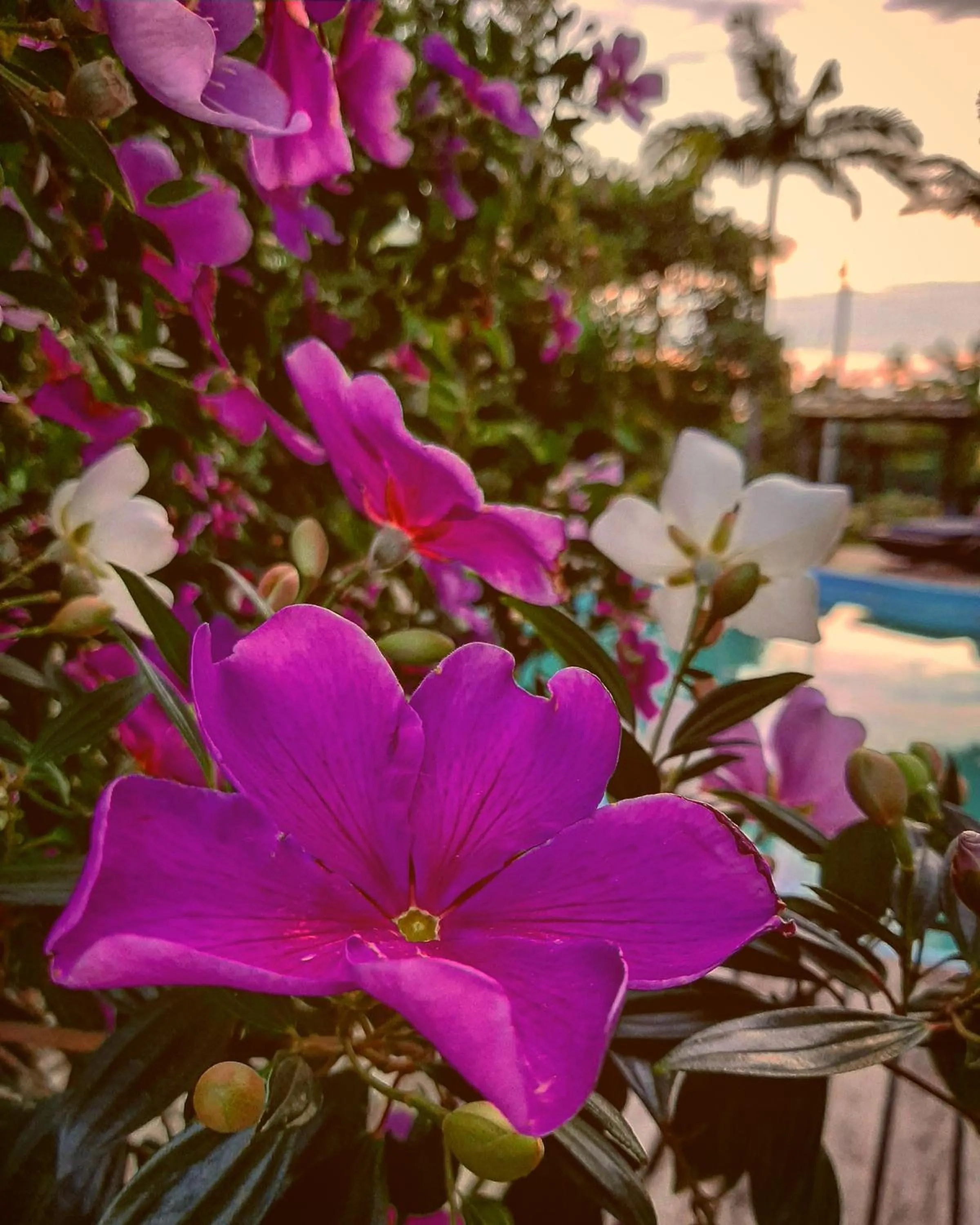 Garden in Villa Josefa - Cabanas completas com piscina e churrasqueira