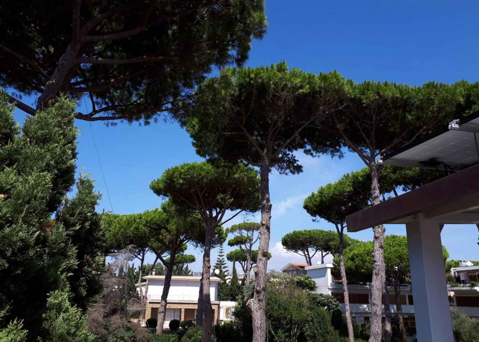 Garden in BUBA BnB SUPERIOR