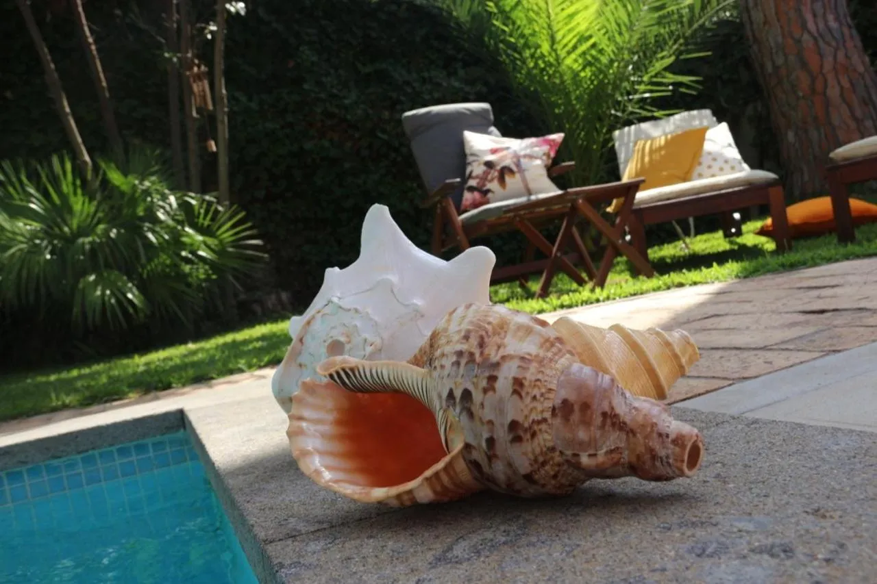 Activities in BUBA BnB SUPERIOR