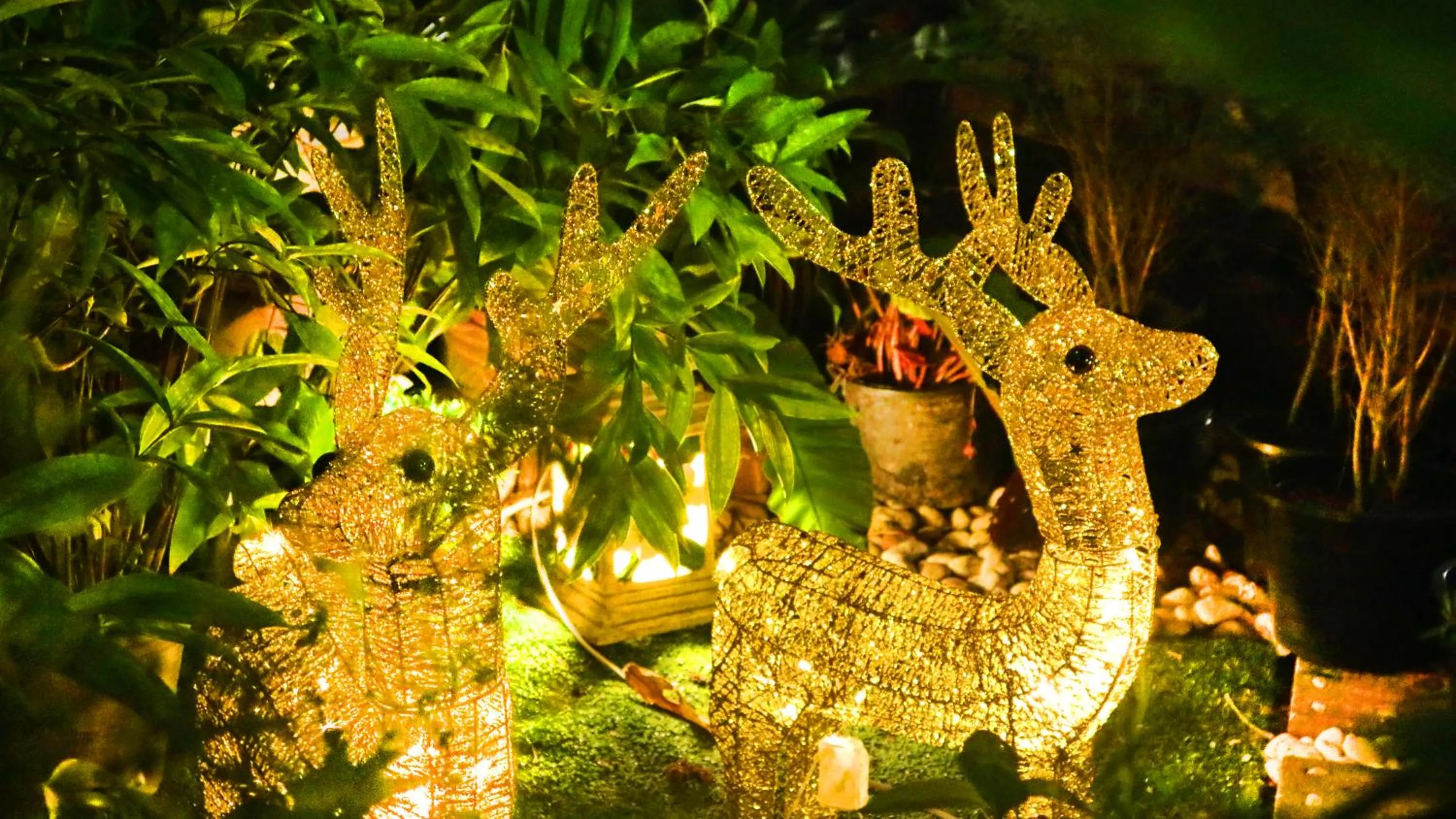 Night in Aiyaree Place Hotel SHA PLUS