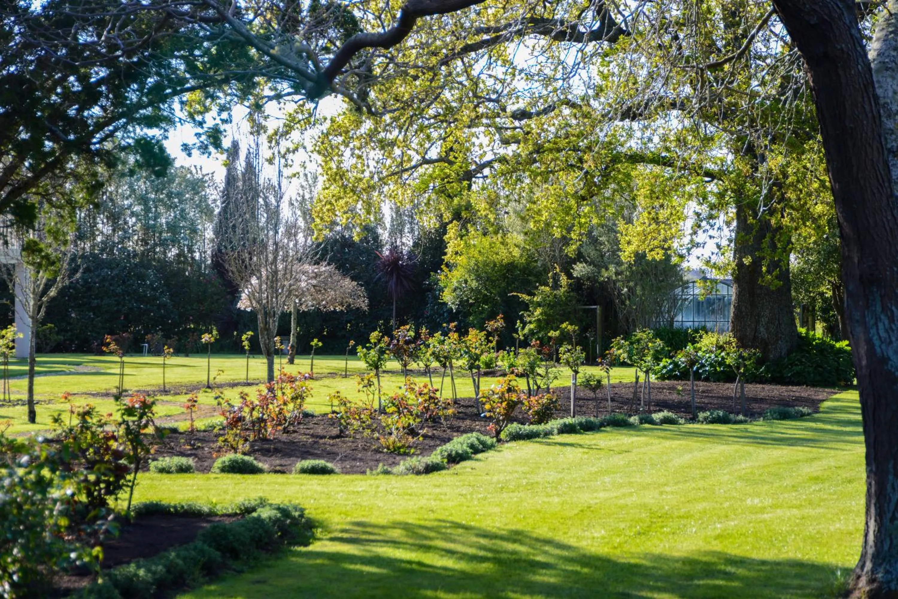 Garden view in Mangapapa Hotel