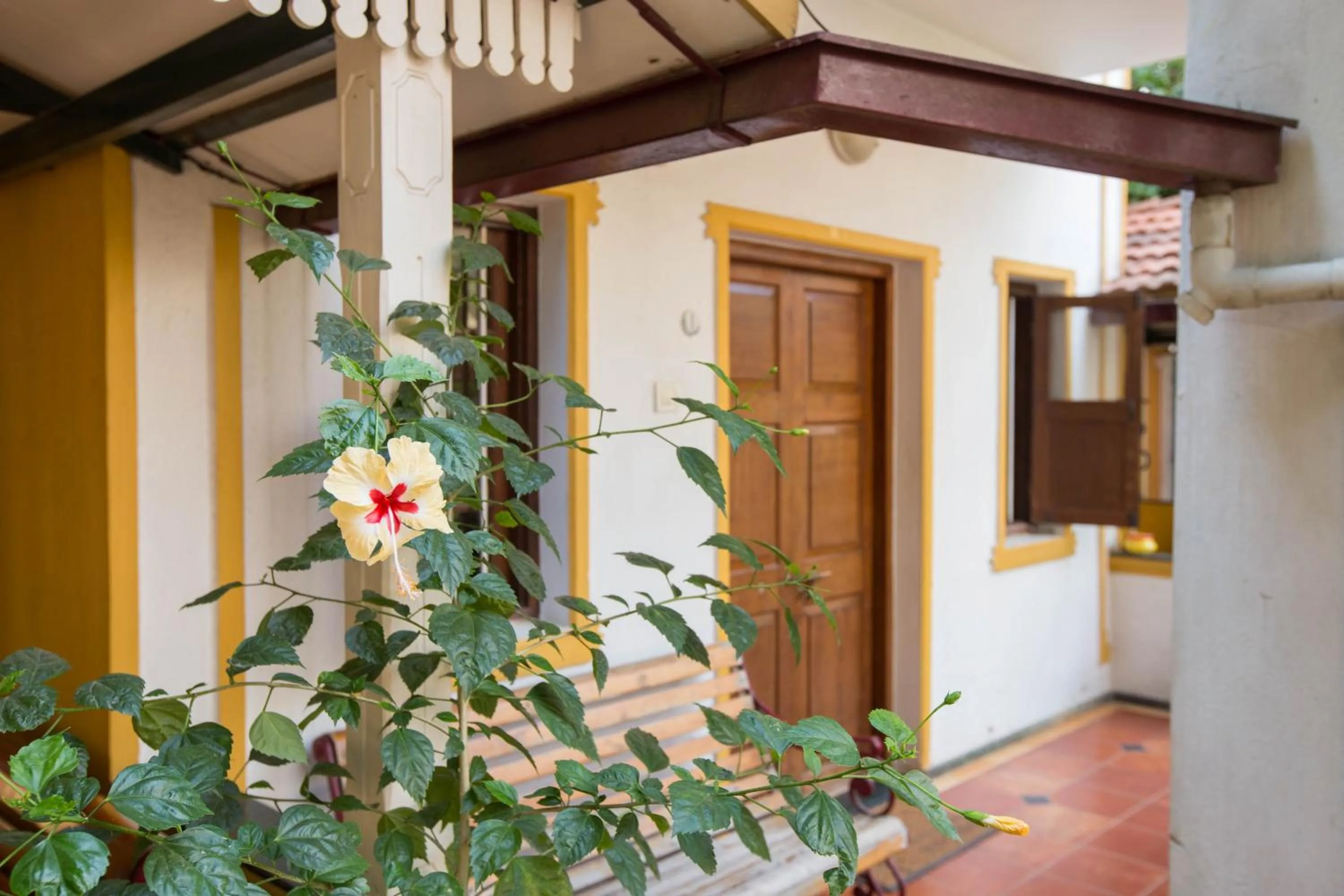 Property building in Casa Cottage