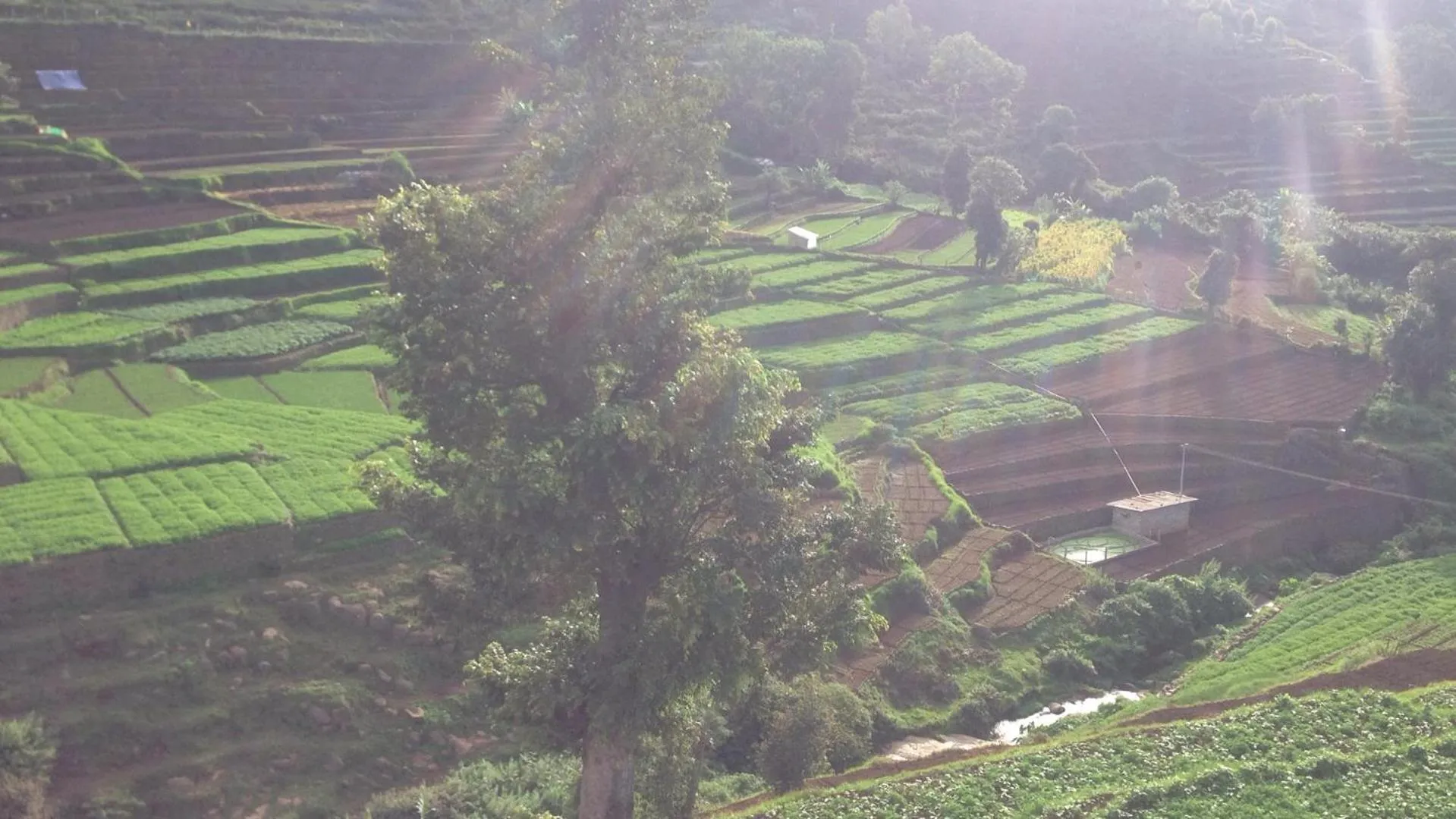 Property building in KBS Sree Paradise Kodai