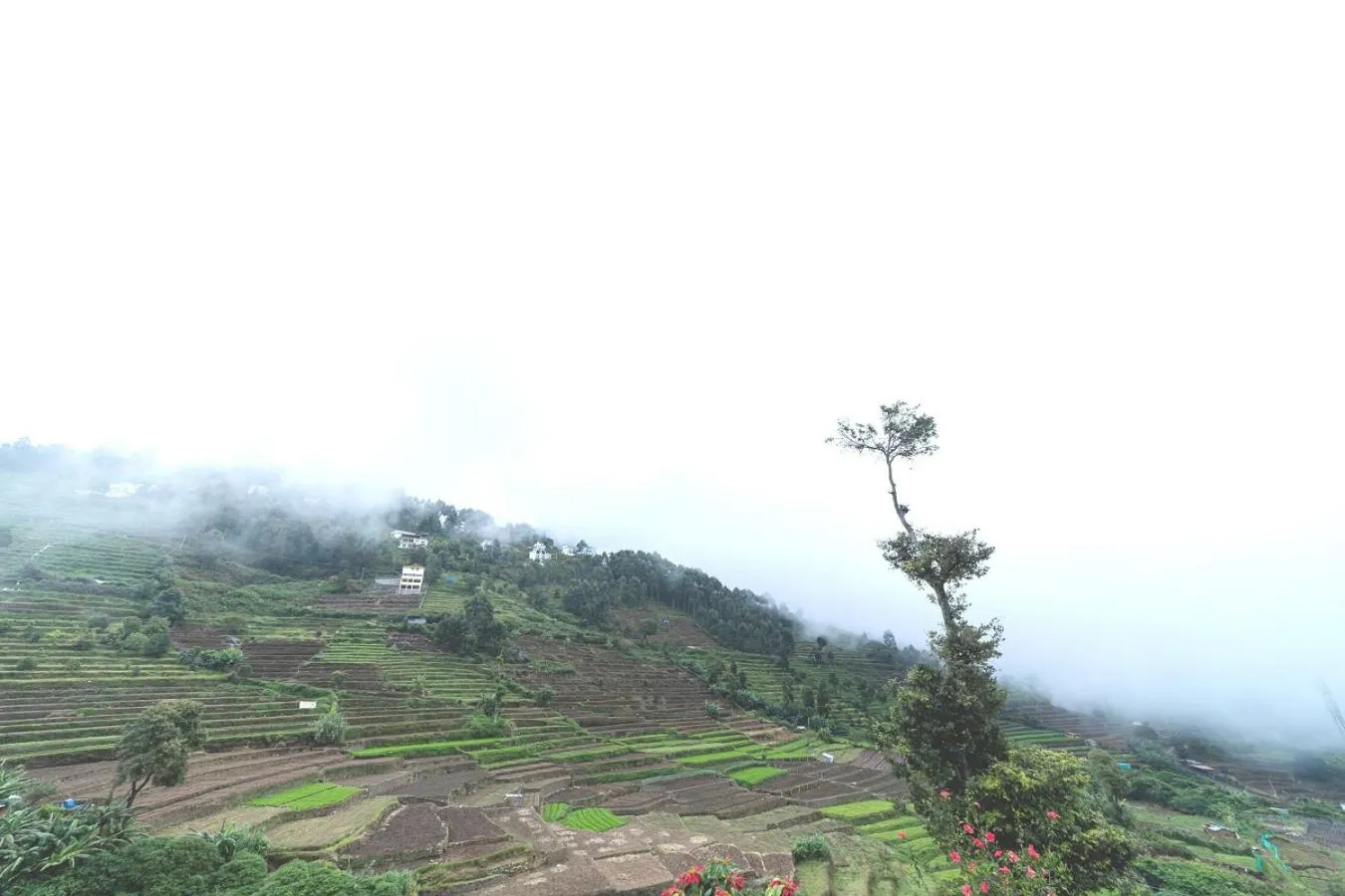 View (from property/room) in KBS Sree Paradise Kodai