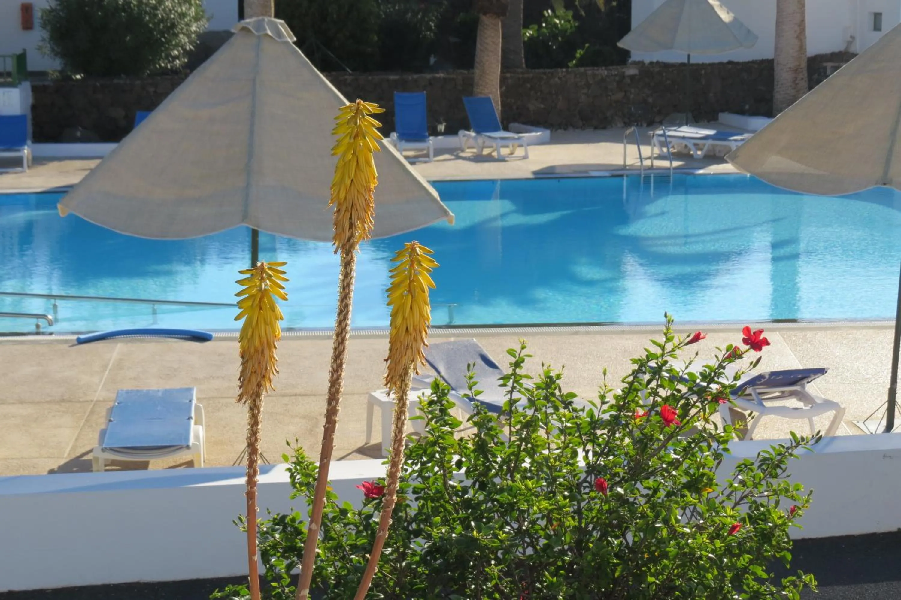 Pool view in Casas Heddy, Well-being Resort