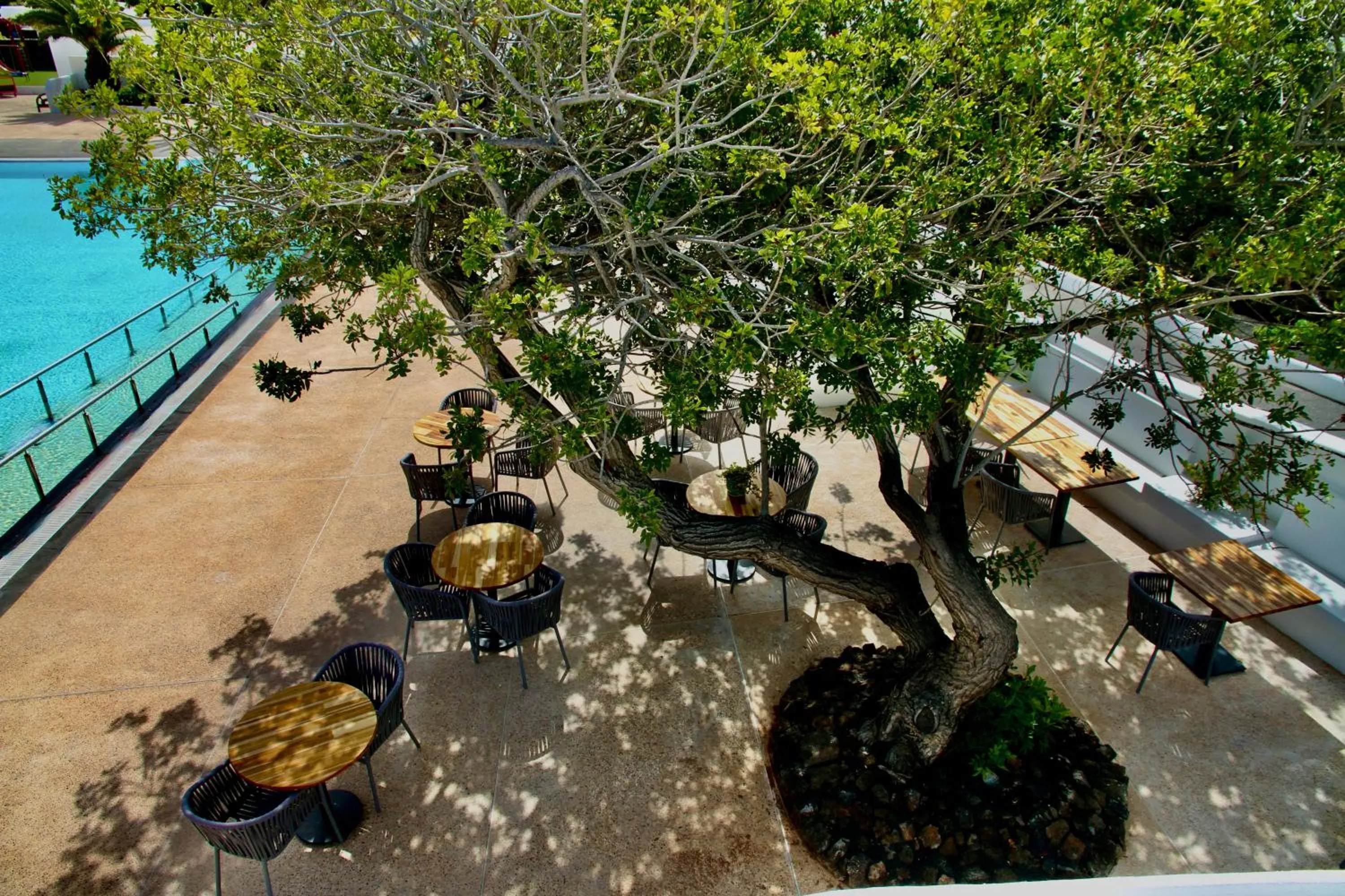 Restaurant/places to eat in Casas Heddy, Well-being Resort