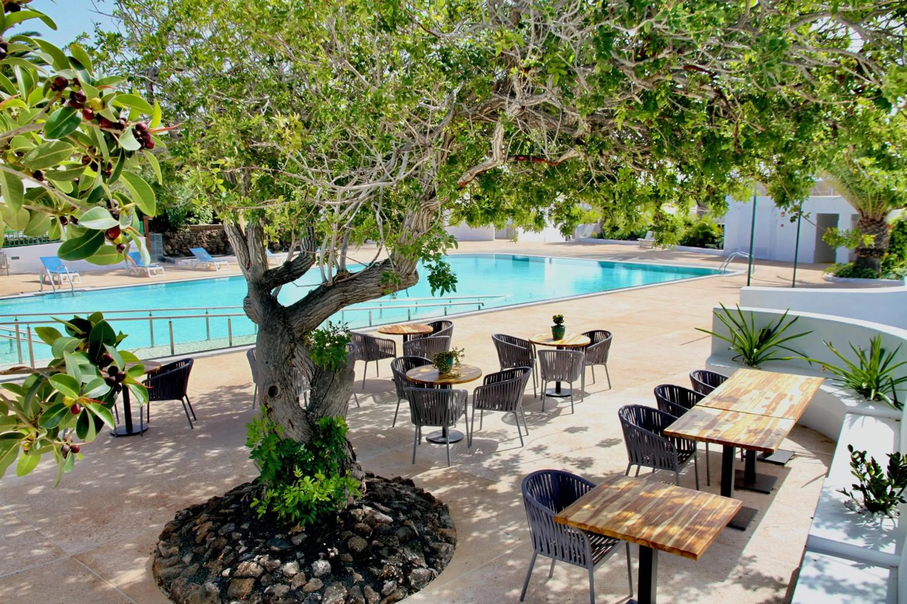 Restaurant/places to eat in Casas Heddy, Well-being Resort