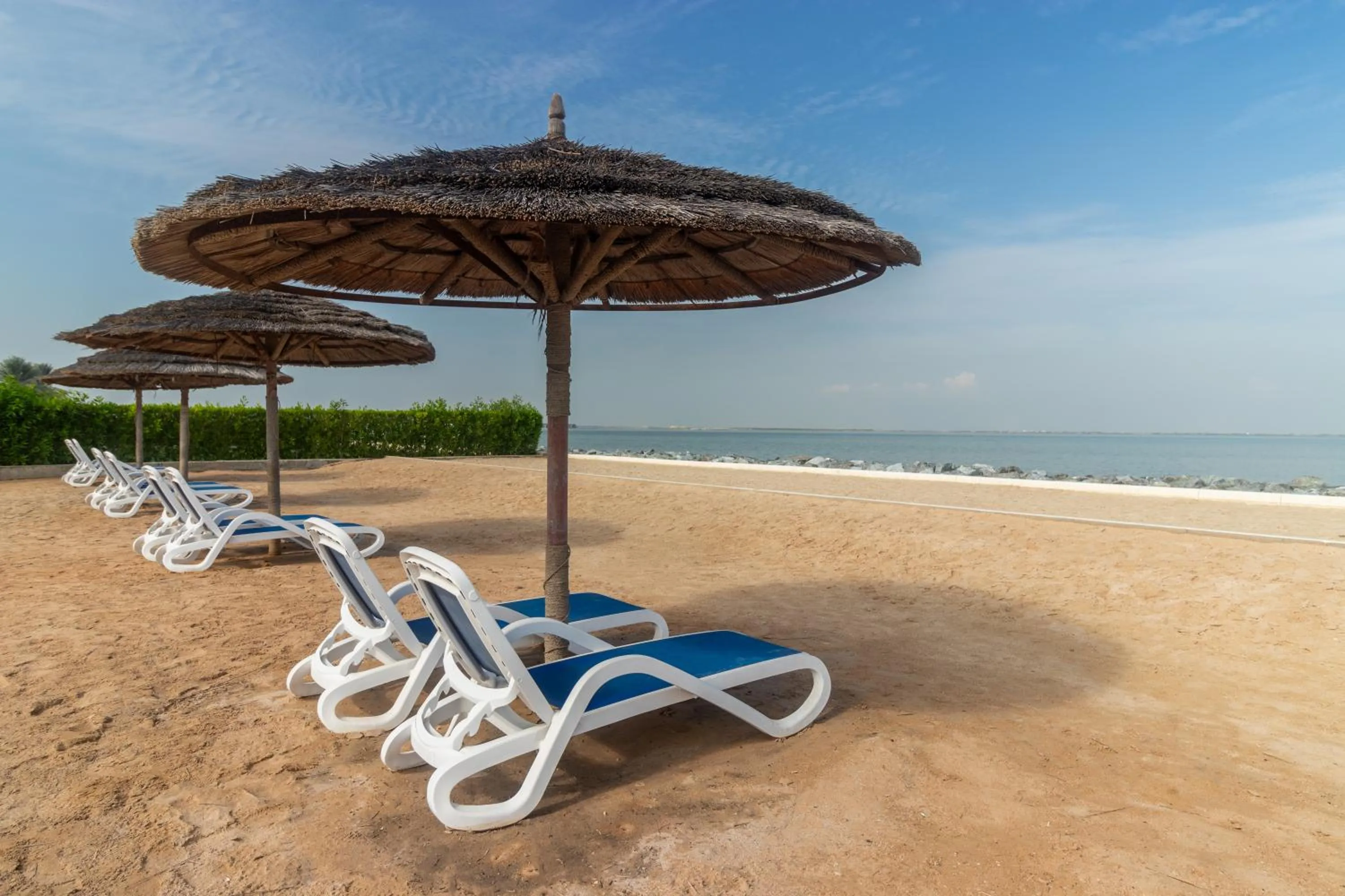 sunbed in Barracuda Resort