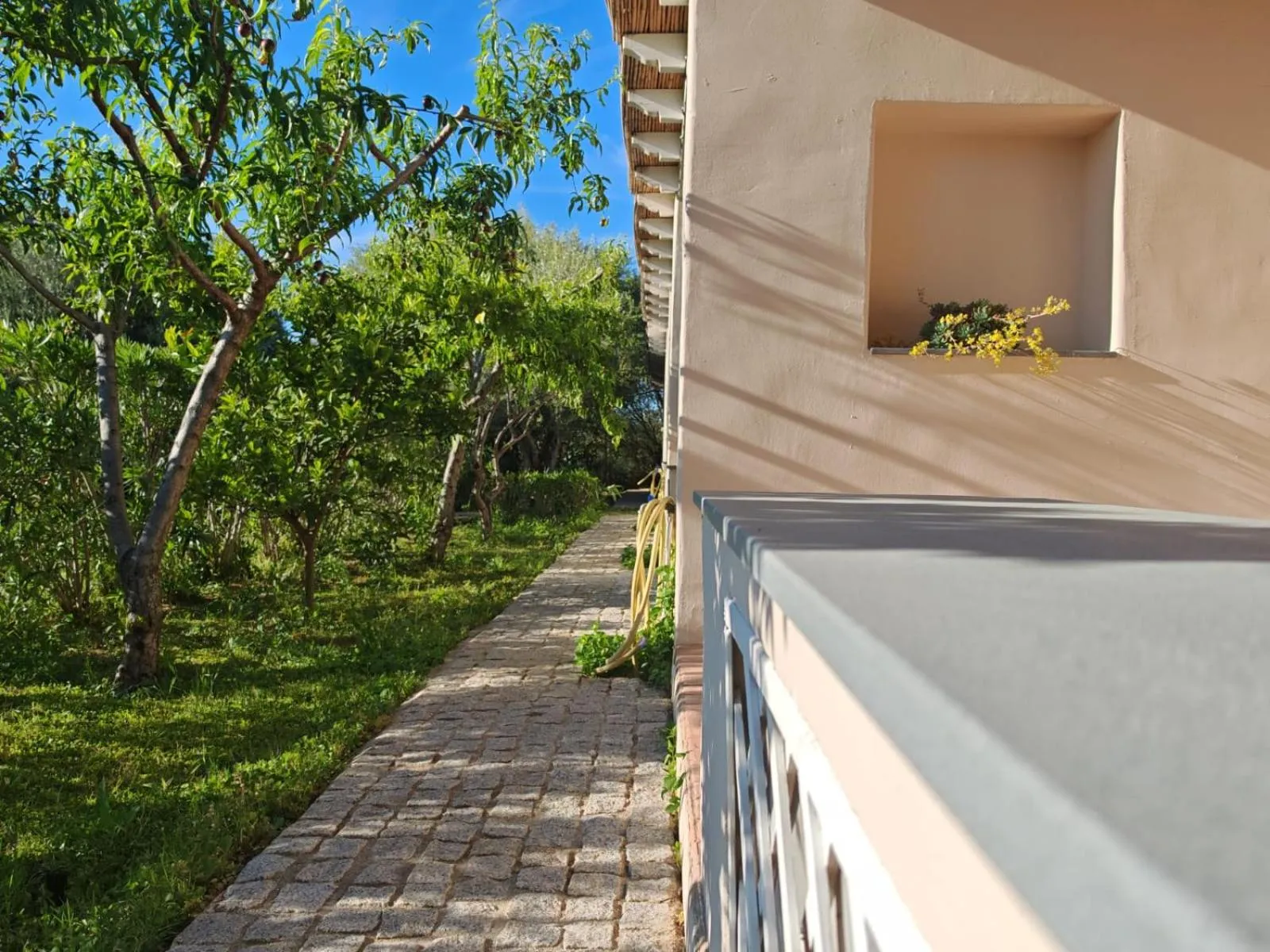 Garden view in Hotel Barbagia