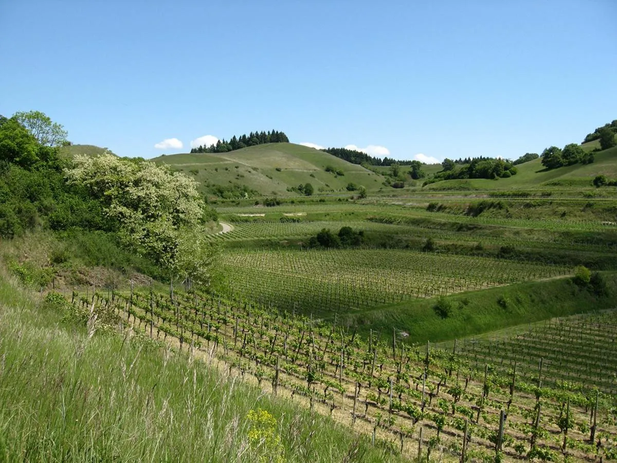 Natural landscape in Die Sprachpension - The Language Guesthouse