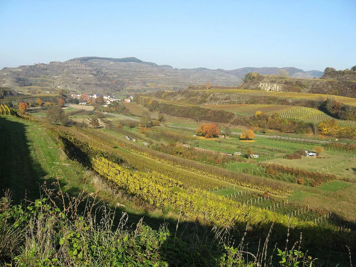 Natural landscape in Die Sprachpension - The Language Guesthouse