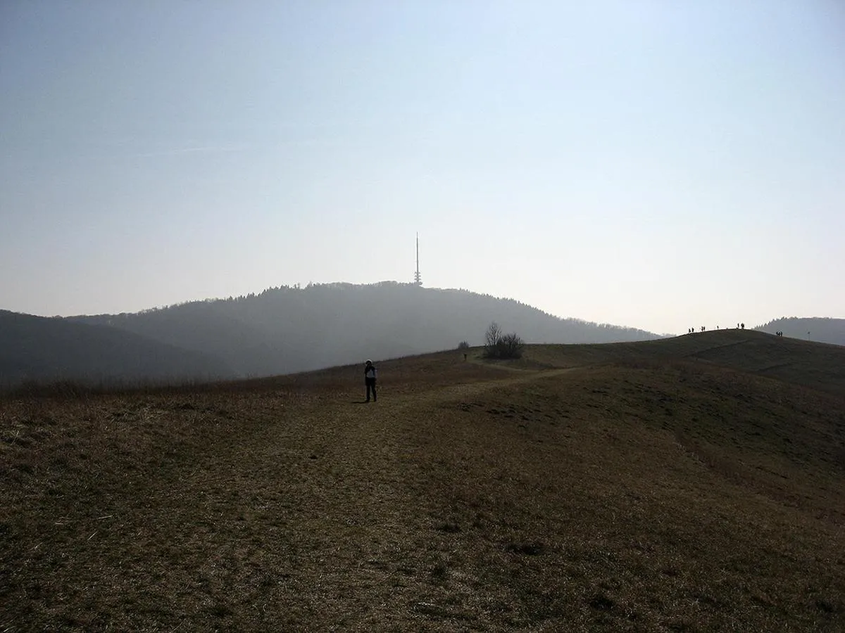 Natural landscape in Die Sprachpension - The Language Guesthouse