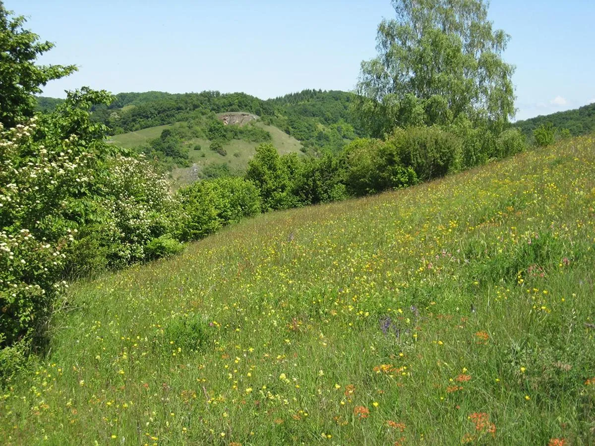 Natural landscape in Die Sprachpension - The Language Guesthouse