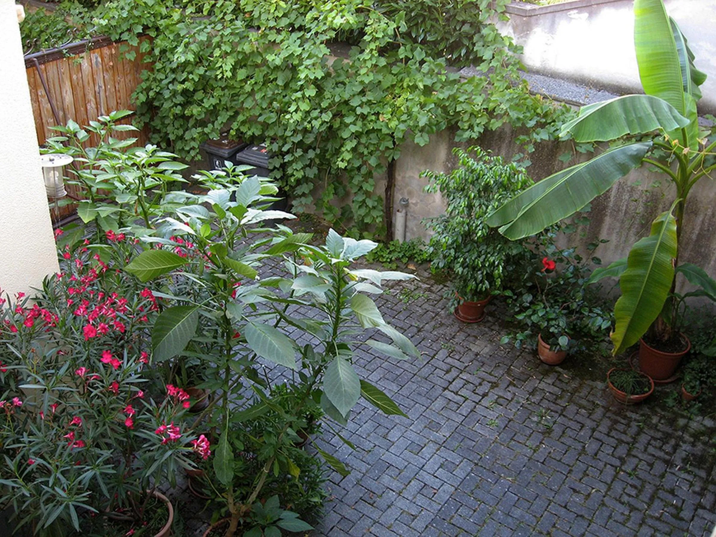 Patio in Die Sprachpension - The Language Guesthouse