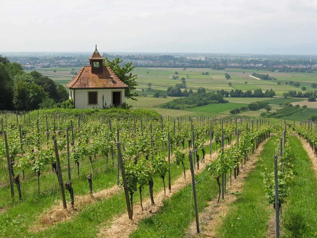 Natural landscape in Die Sprachpension - The Language Guesthouse
