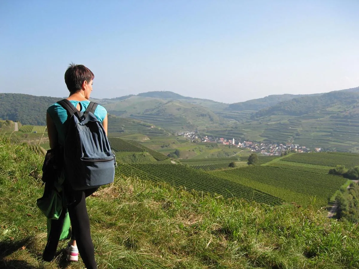 Natural landscape in Die Sprachpension - The Language Guesthouse