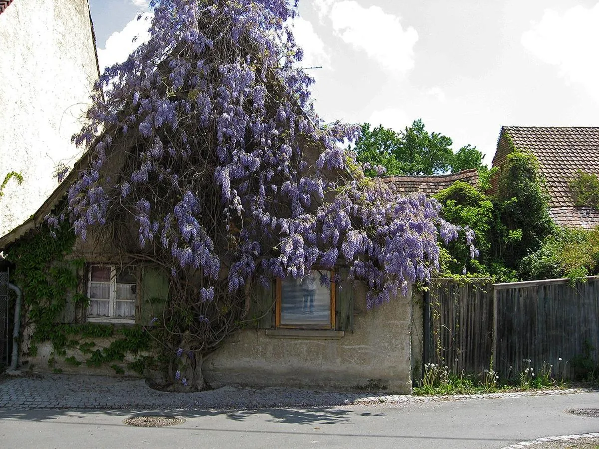 Neighbourhood in Die Sprachpension - The Language Guesthouse