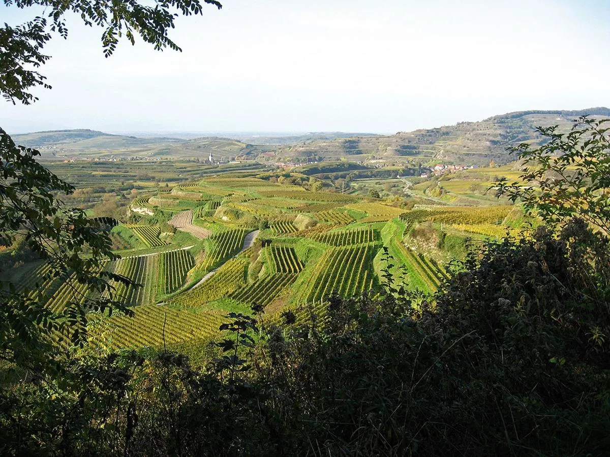 Natural landscape in Die Sprachpension - The Language Guesthouse