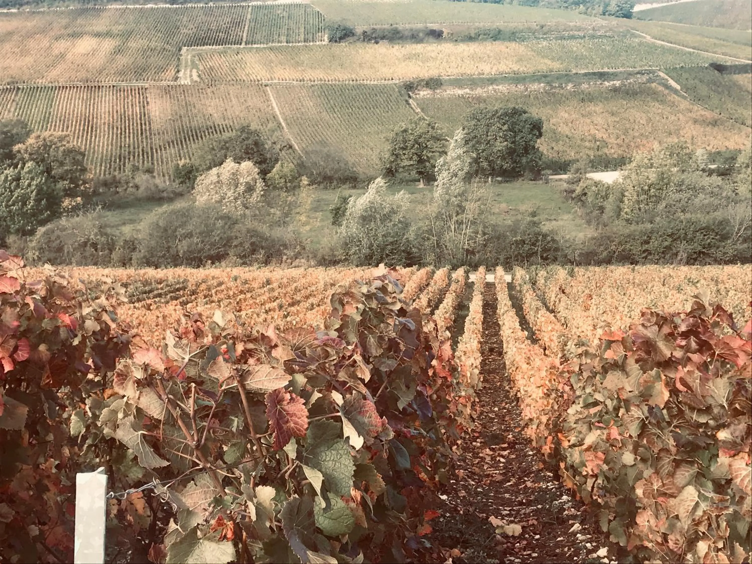 Natural landscape in Logis Hostellerie la Chaumière