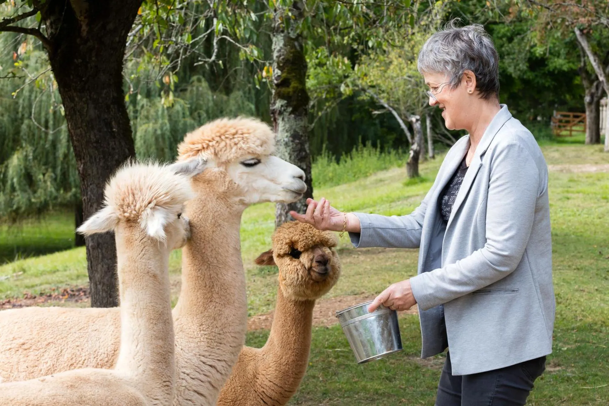 Animals in Logis Hostellerie la Chaumière