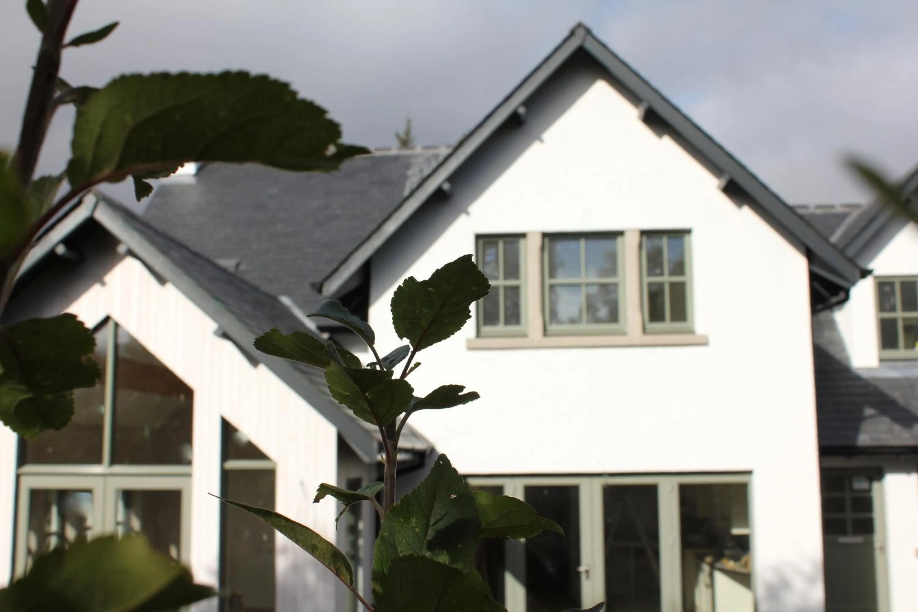 Property building in Canowindra