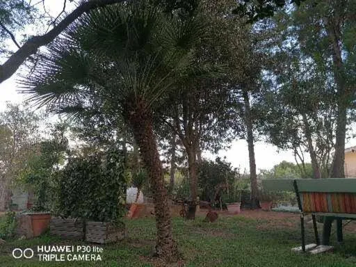 Garden in Su Matutzu