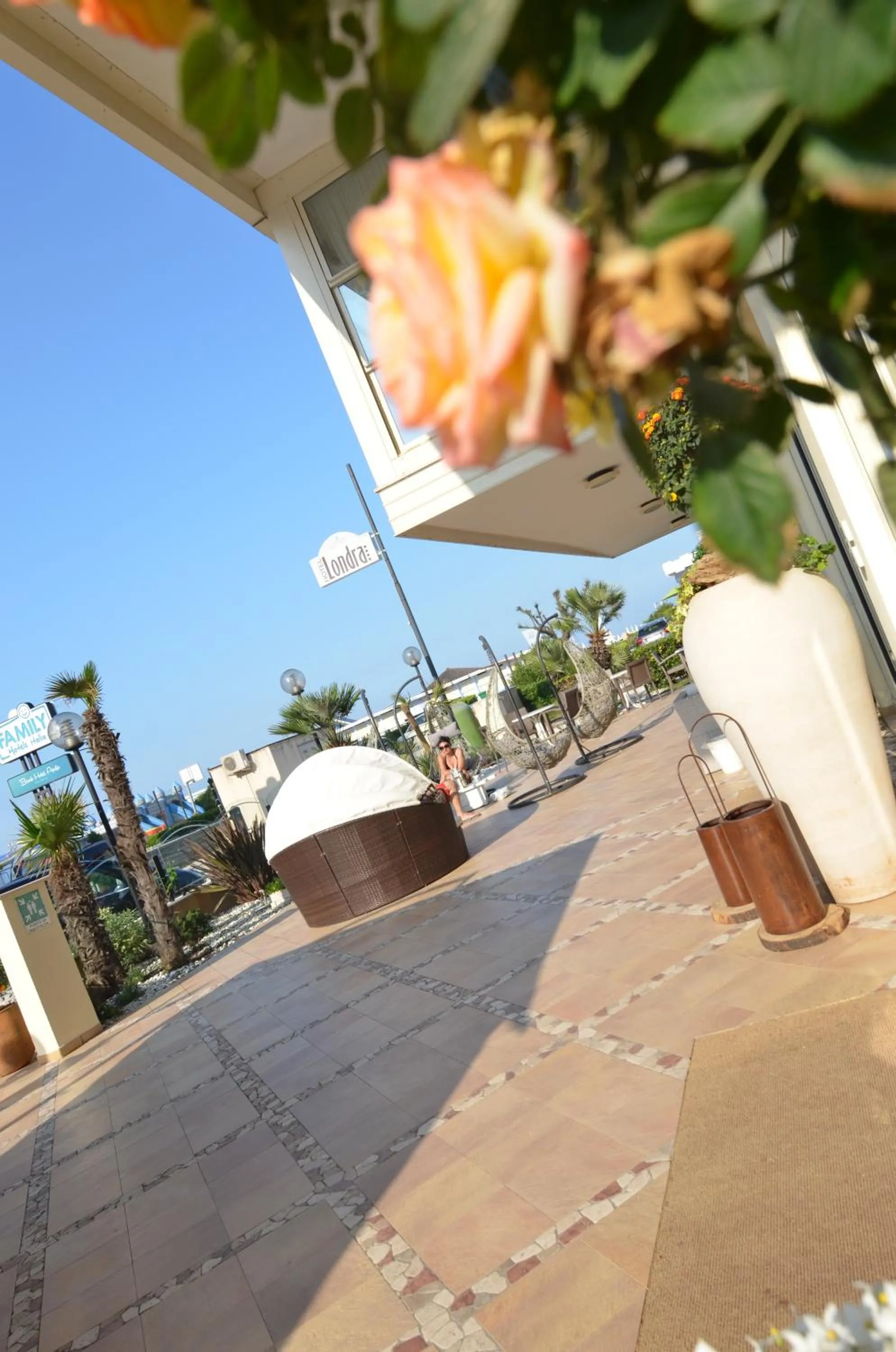 Garden in Hotel Londra