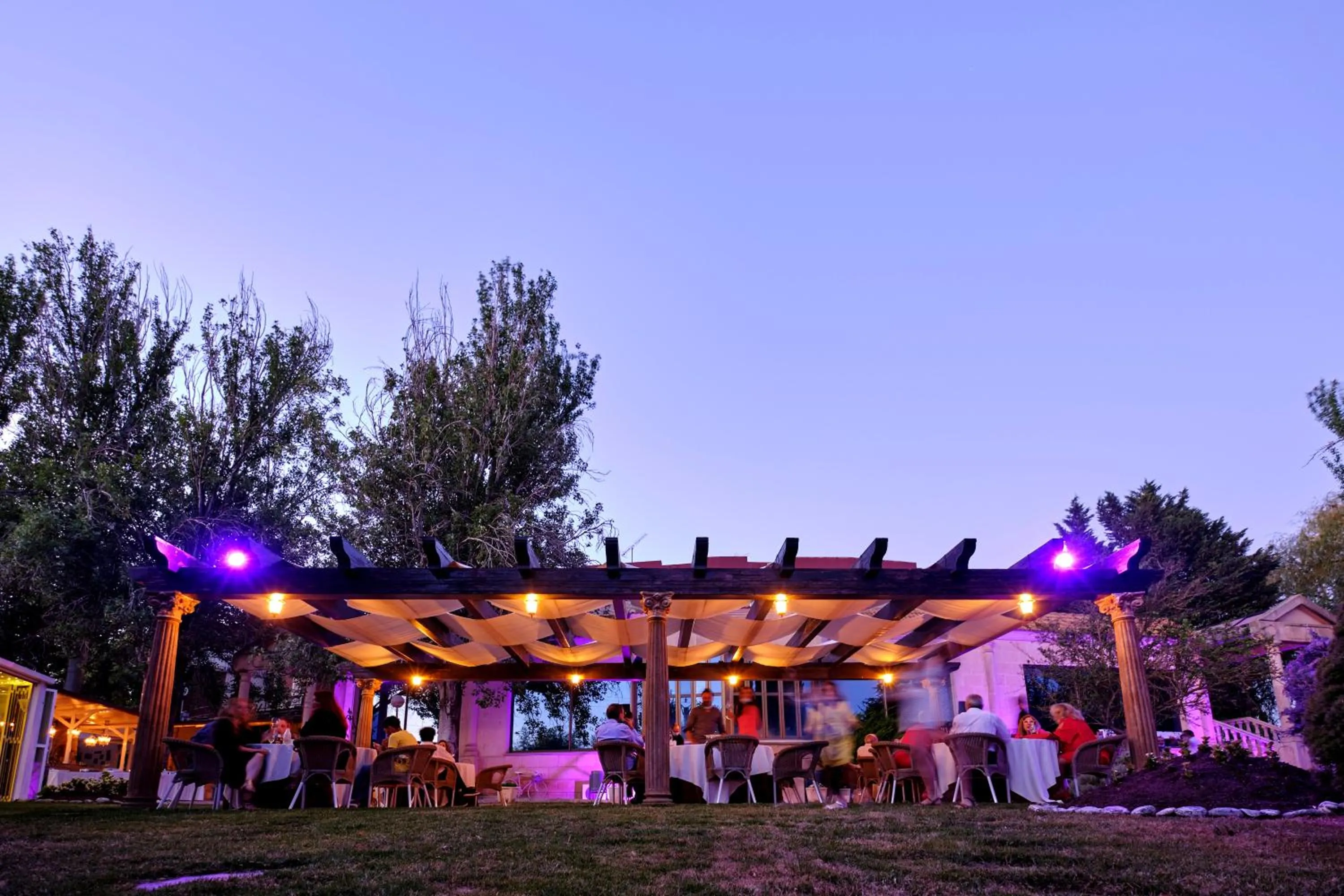 Garden in Hotel Montermoso