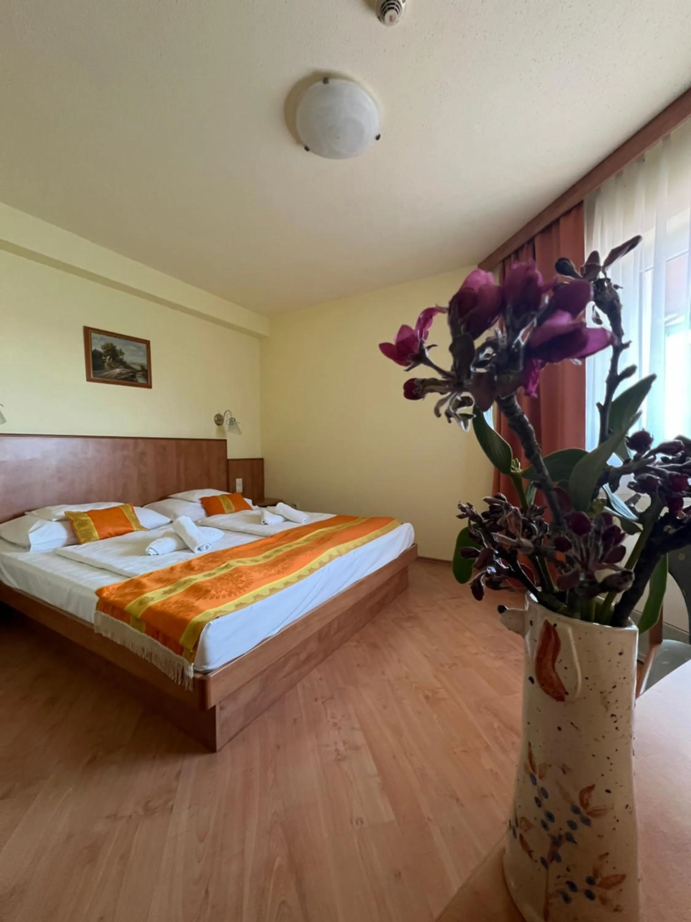 Photo of the whole room, Bed in Aqua Therm Hotel