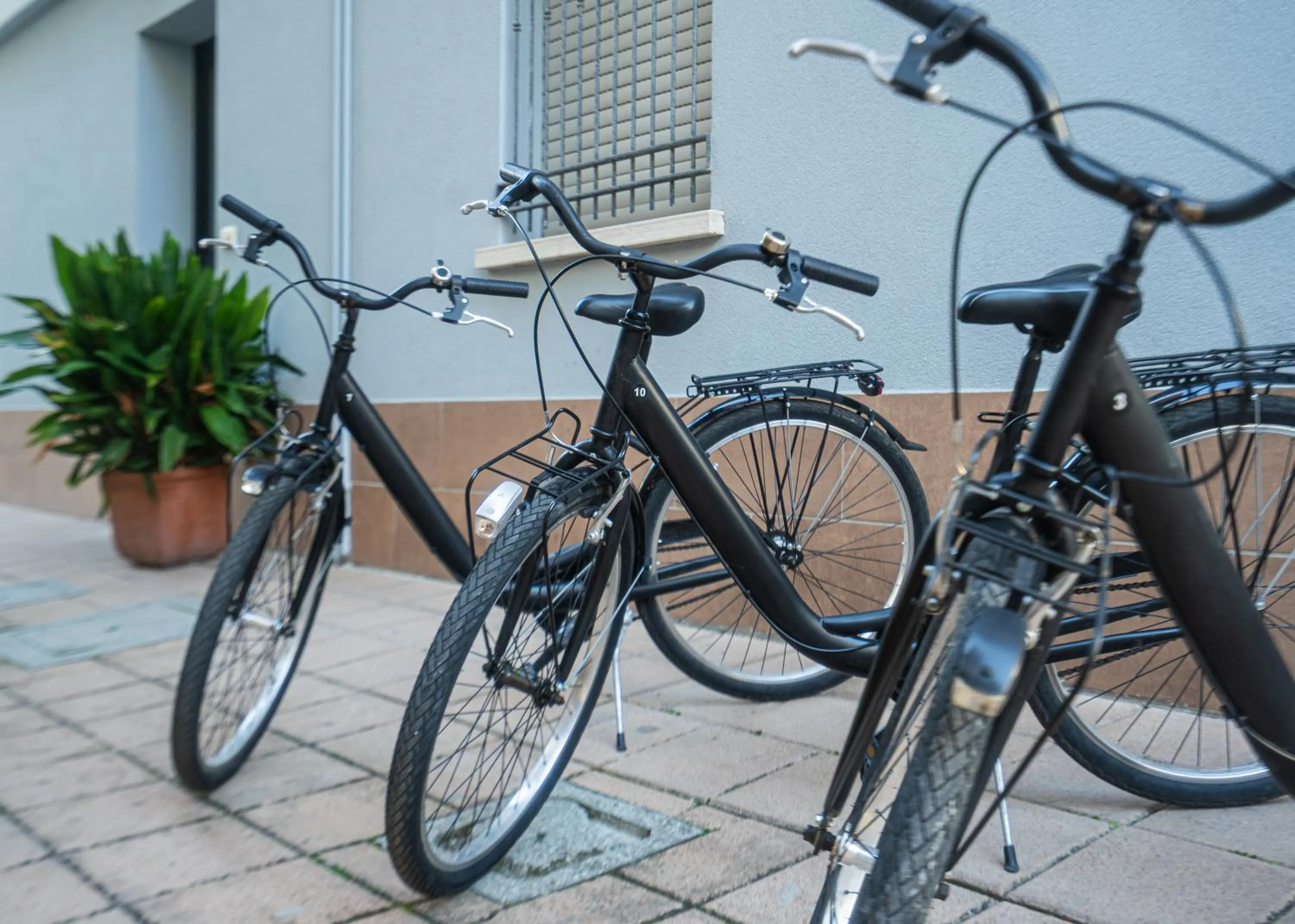 Cycling in Hotel Aldebaran